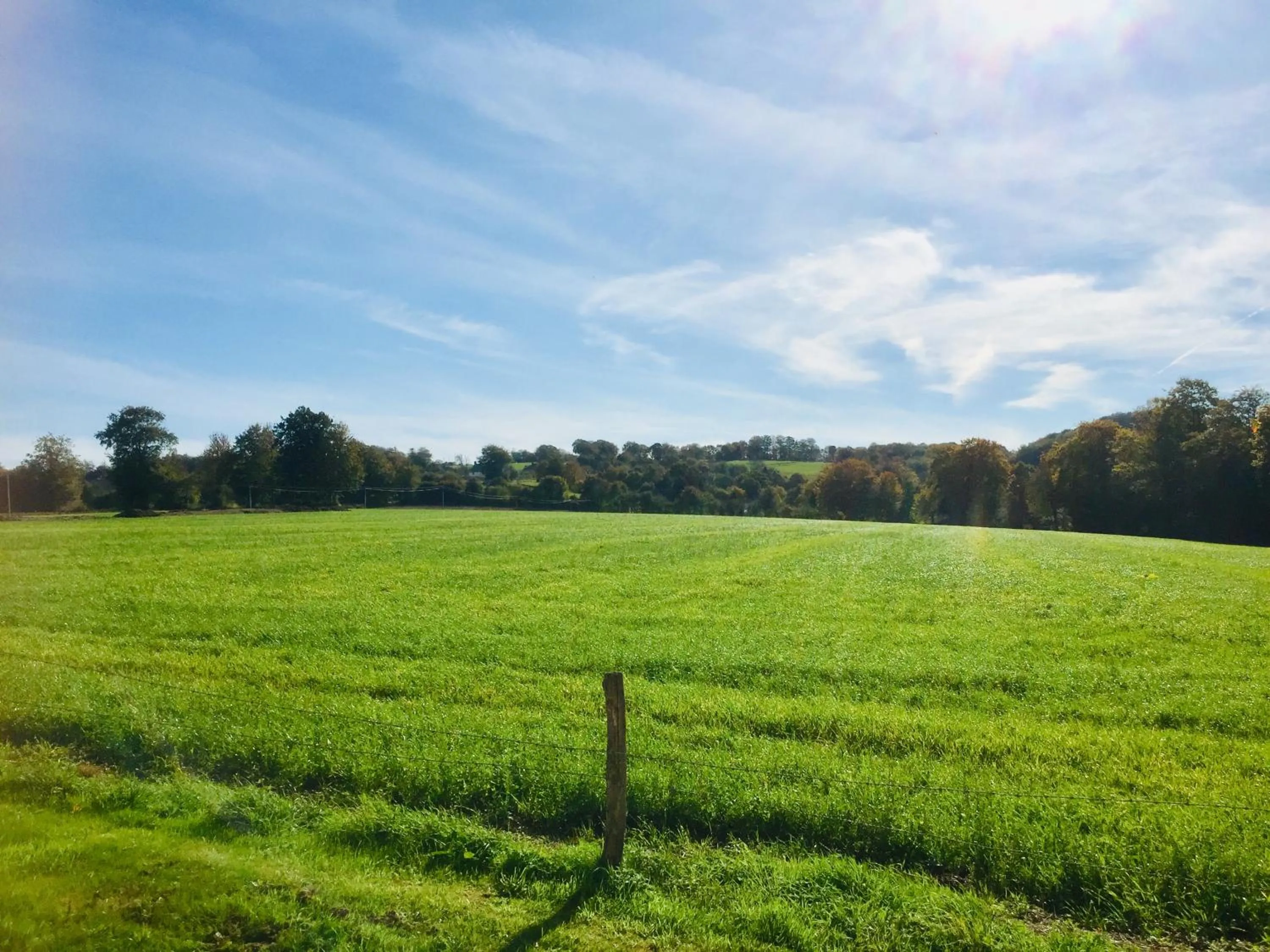 Garden in La Blanche Roche