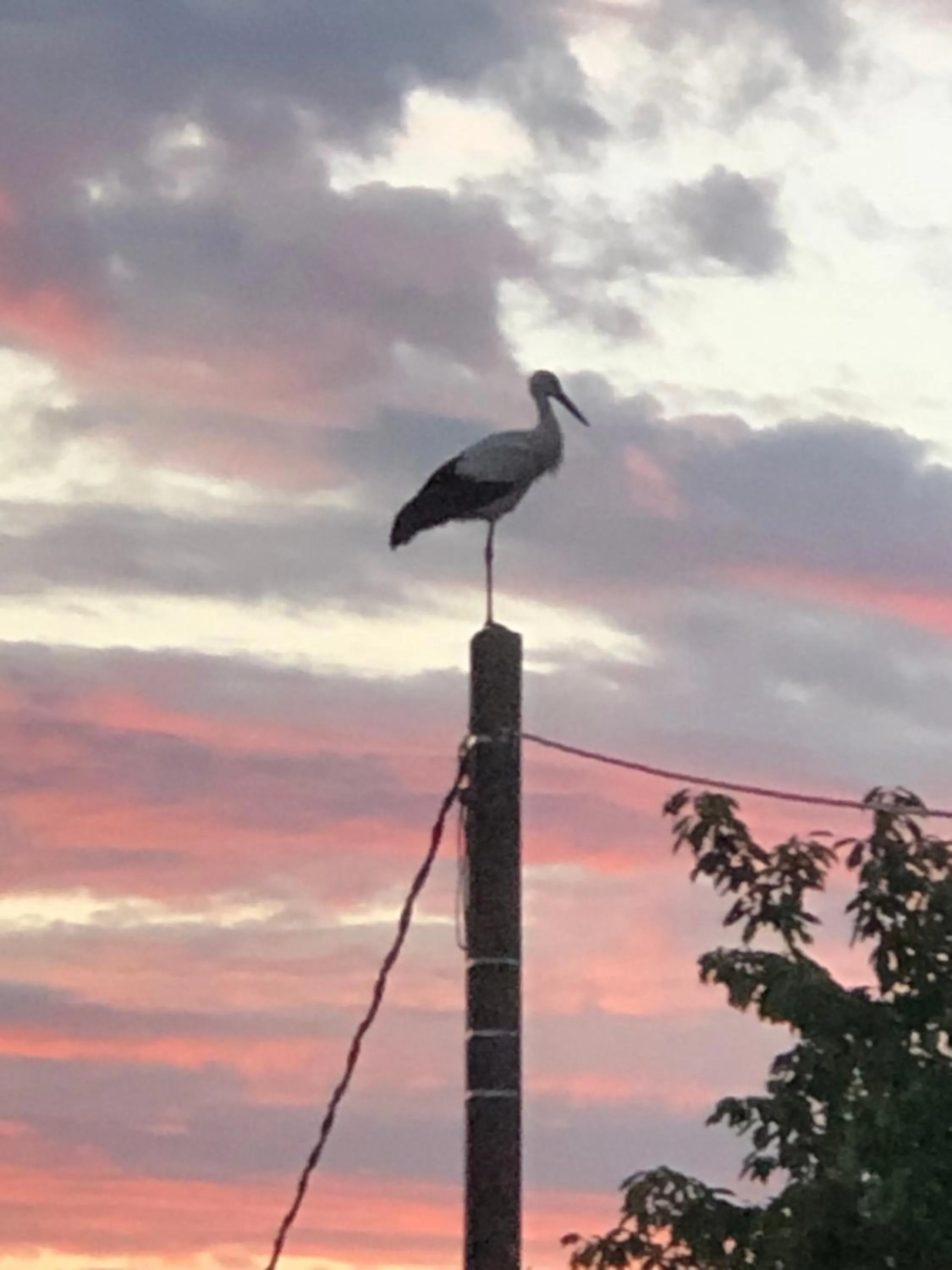 Sunset in La Blanche Roche