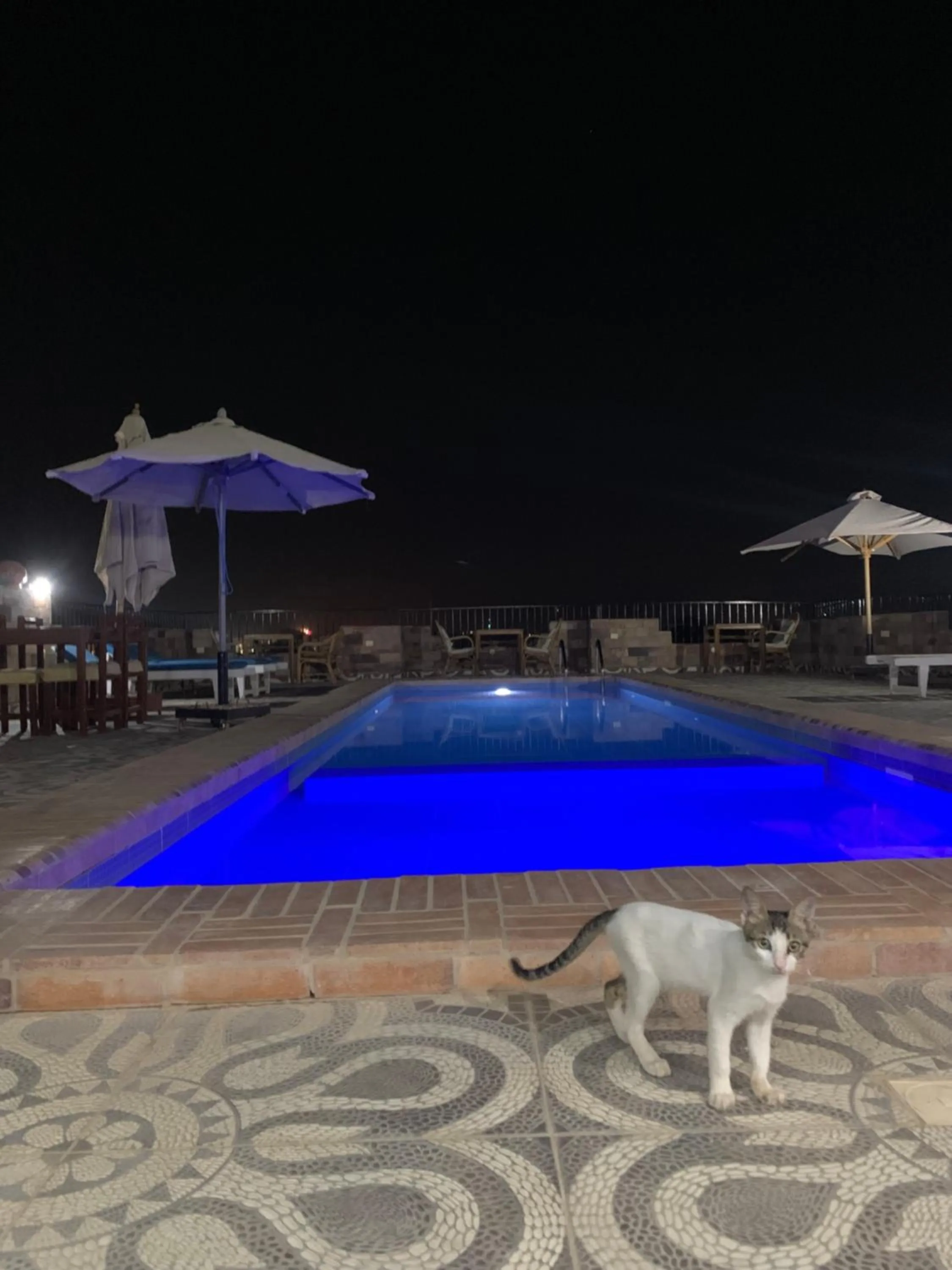 Night in Nile Panorama Hotel & Restaurant