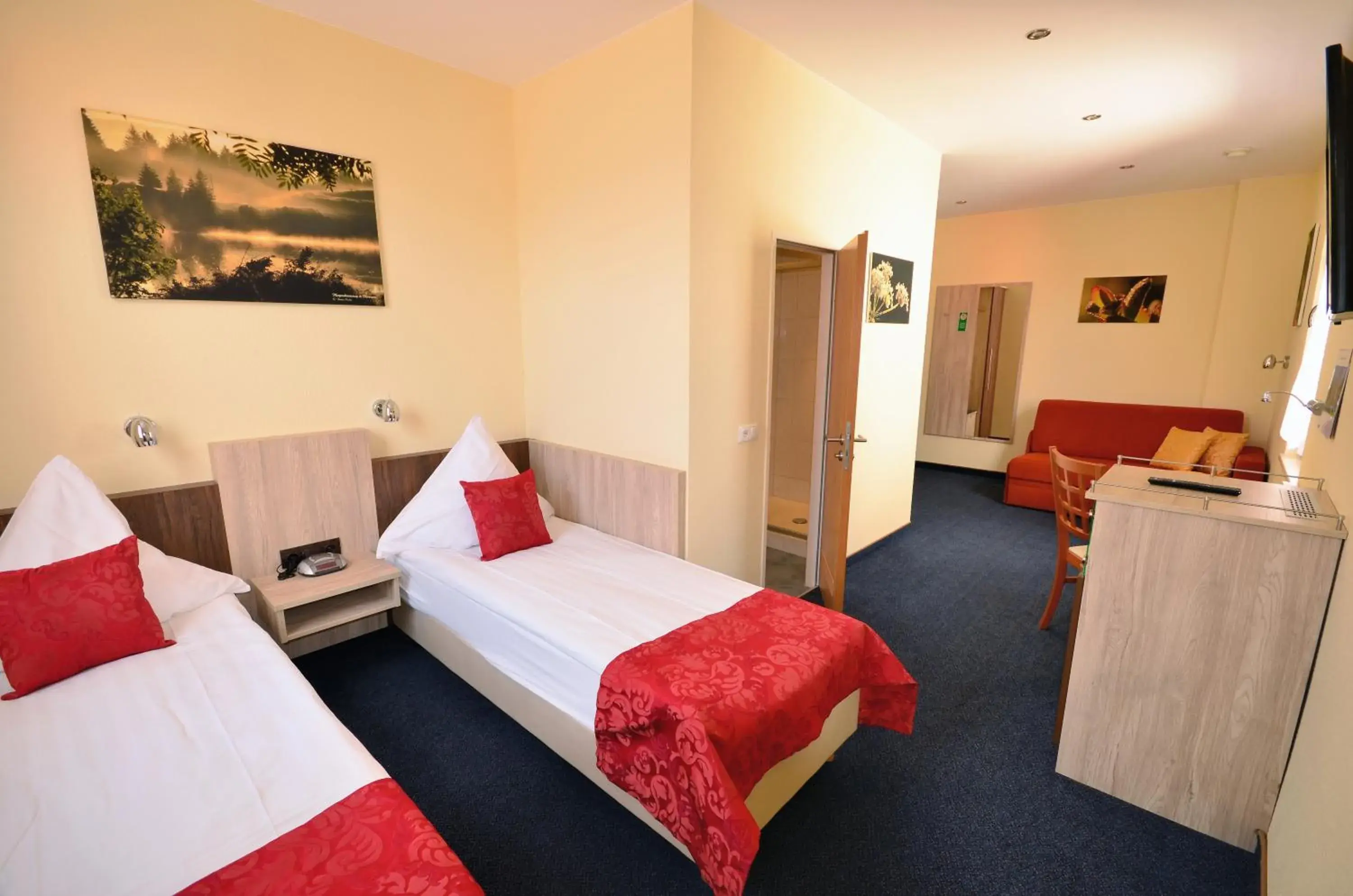 Standard Twin Room - single occupancy in Hotel-Restaurant Zur Mainlust Standard Twin Room - single occupancy in Hotel-Restaurant Zur Mainlust