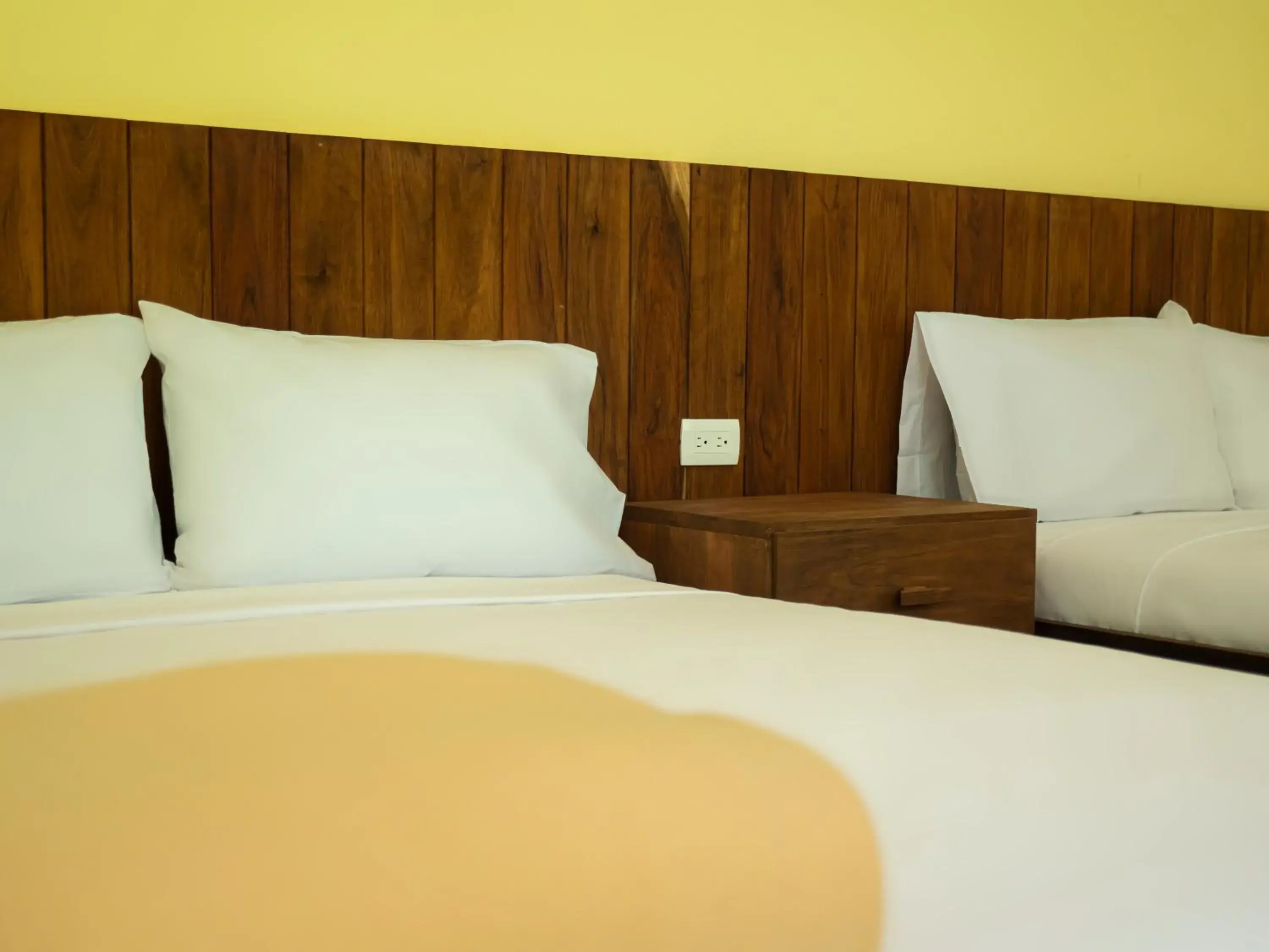 Bed in Colorbox beds and rooms Bed in Colorbox beds and rooms