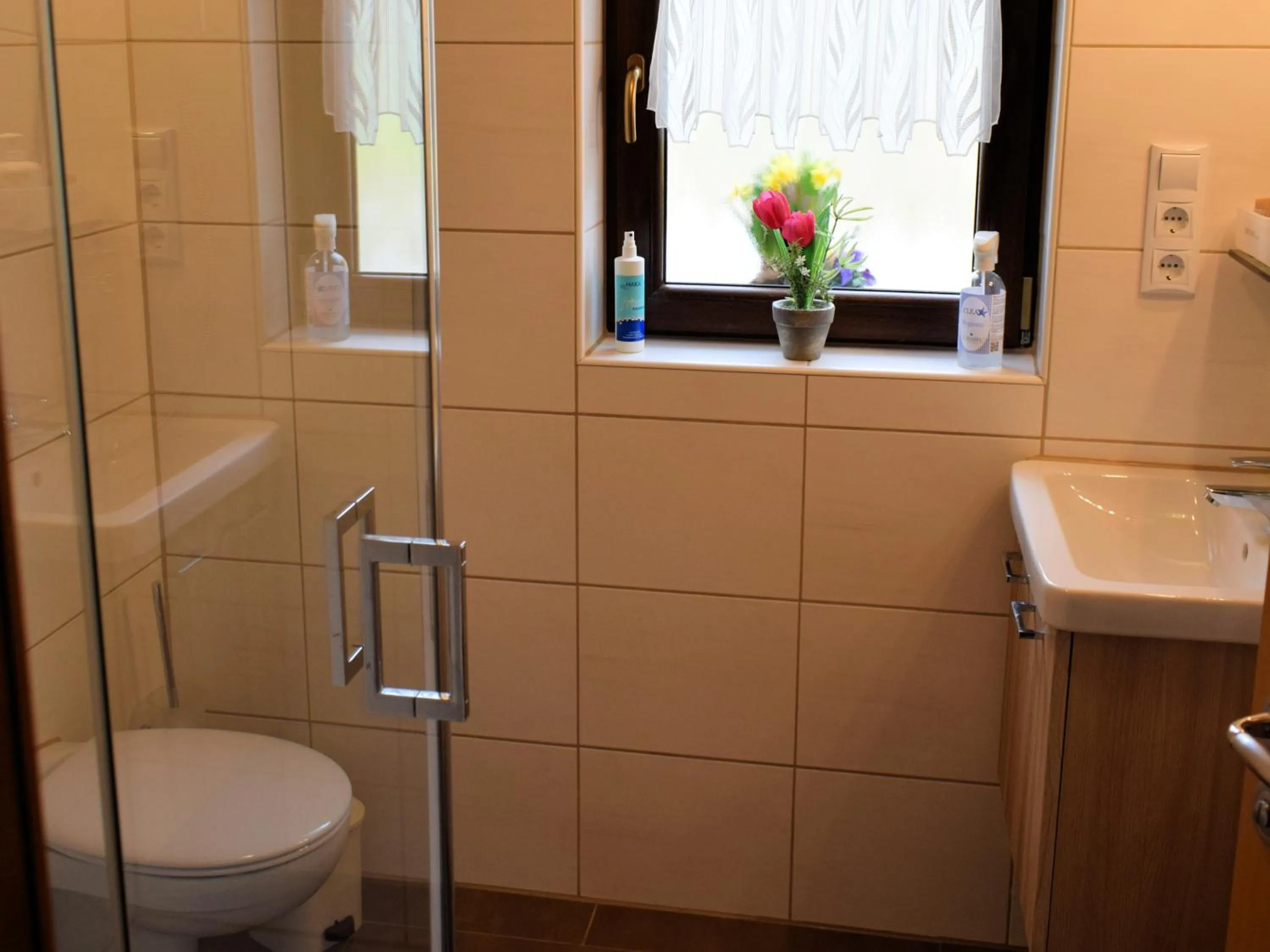 Shower in Gaestehaus Grau
