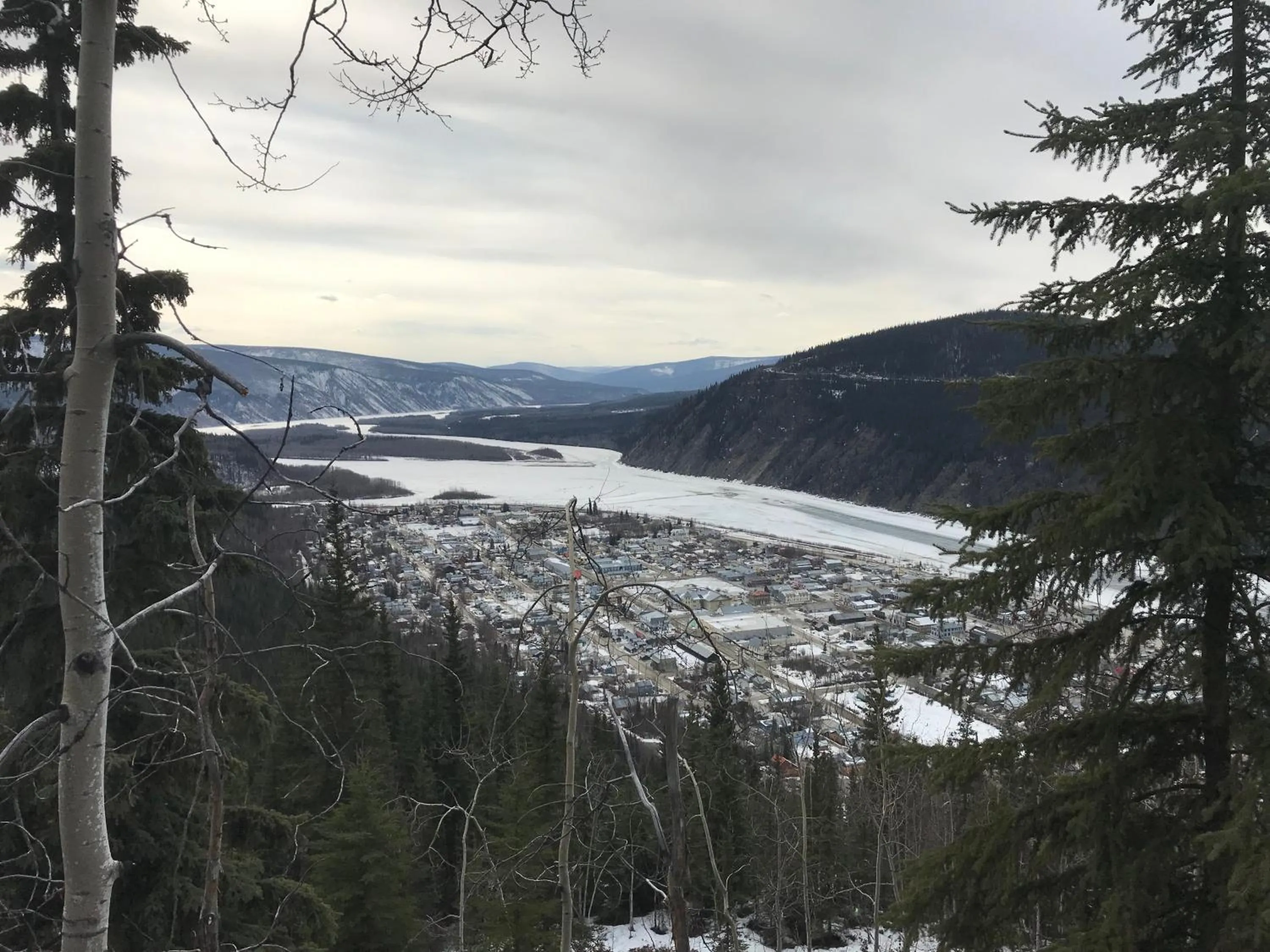 Neighbourhood in Dawson Lodge