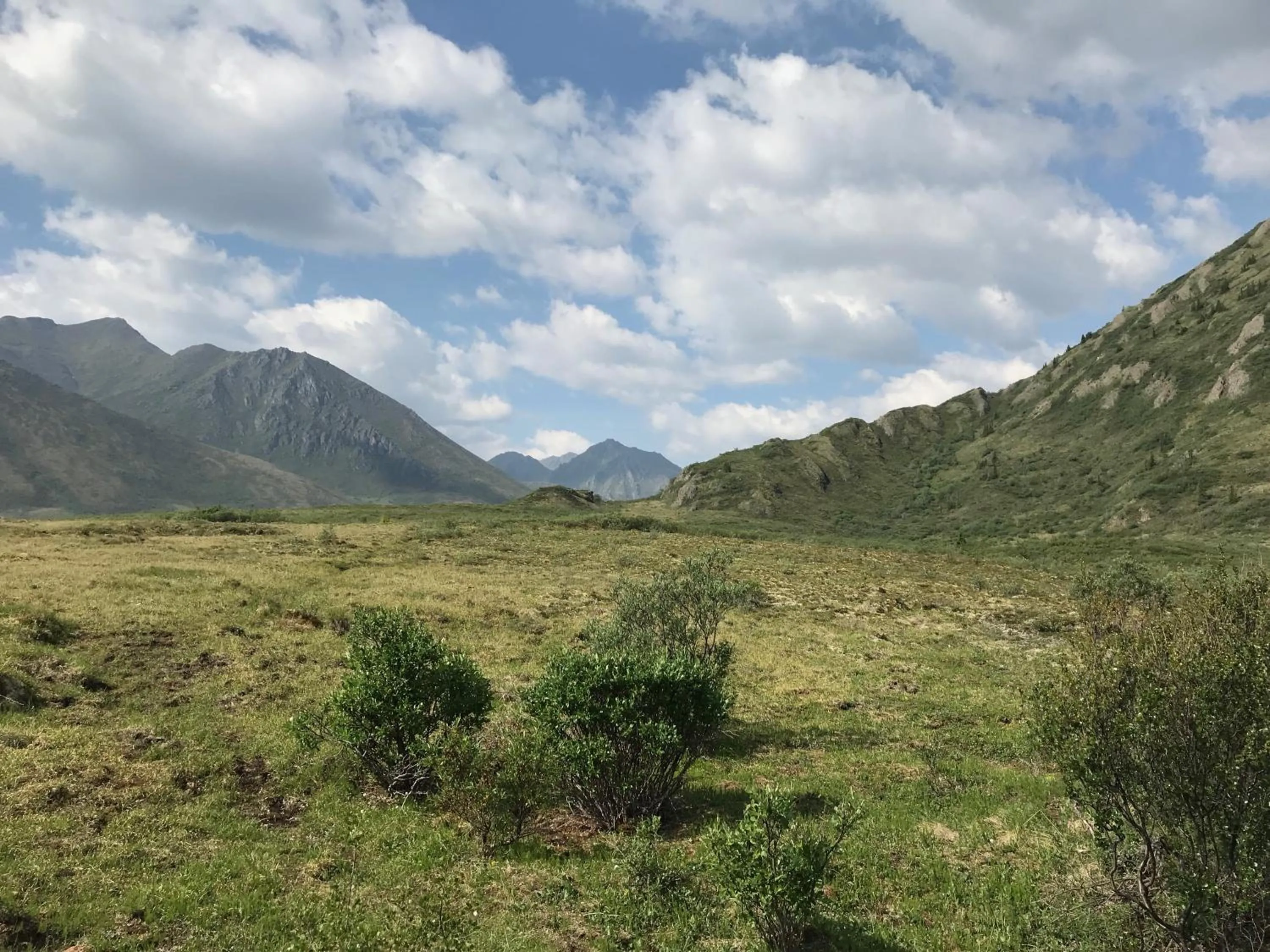 Natural landscape in Dawson Lodge
