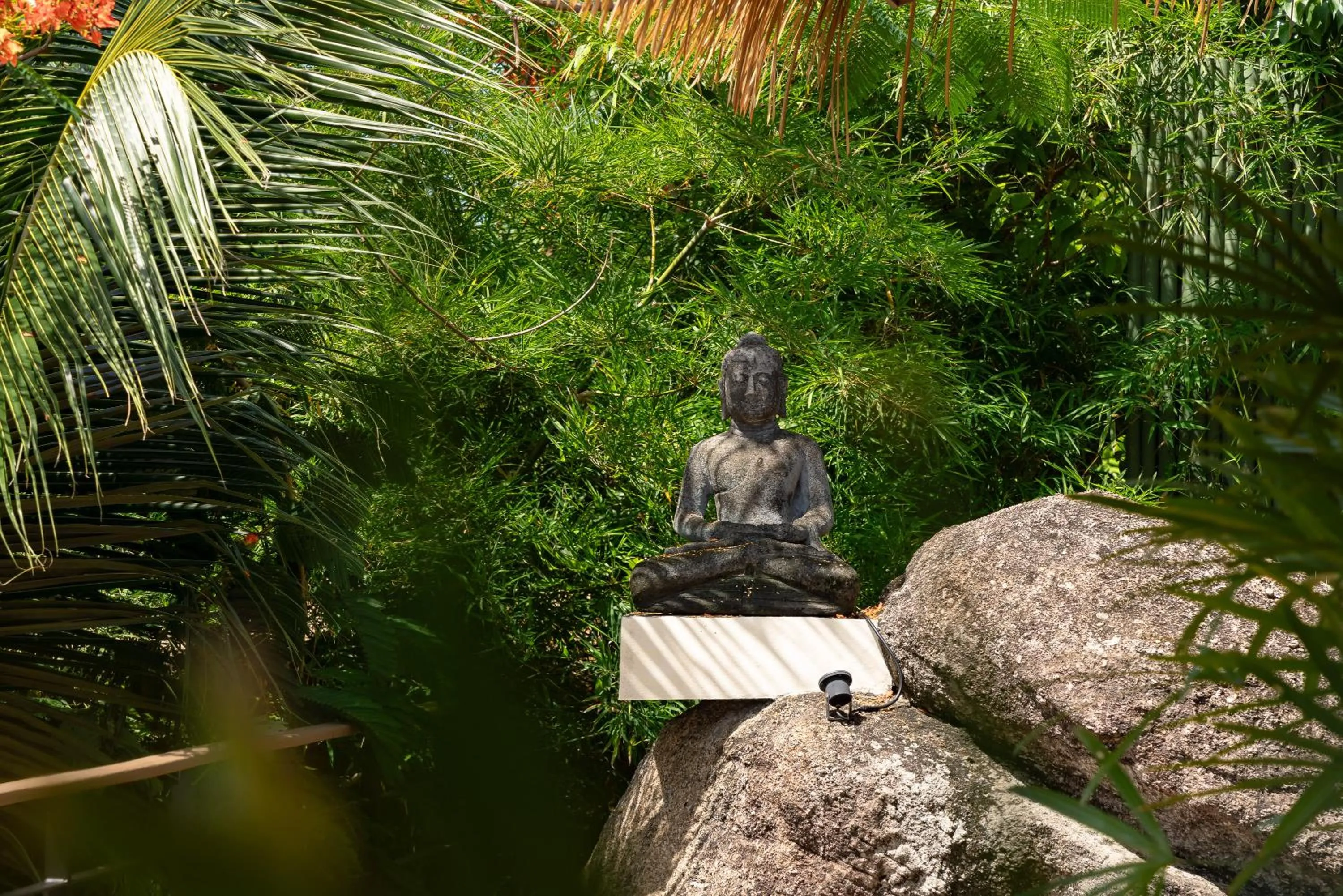 Wild Cottages Luxury and Natural - SHA Extra Plus Certified