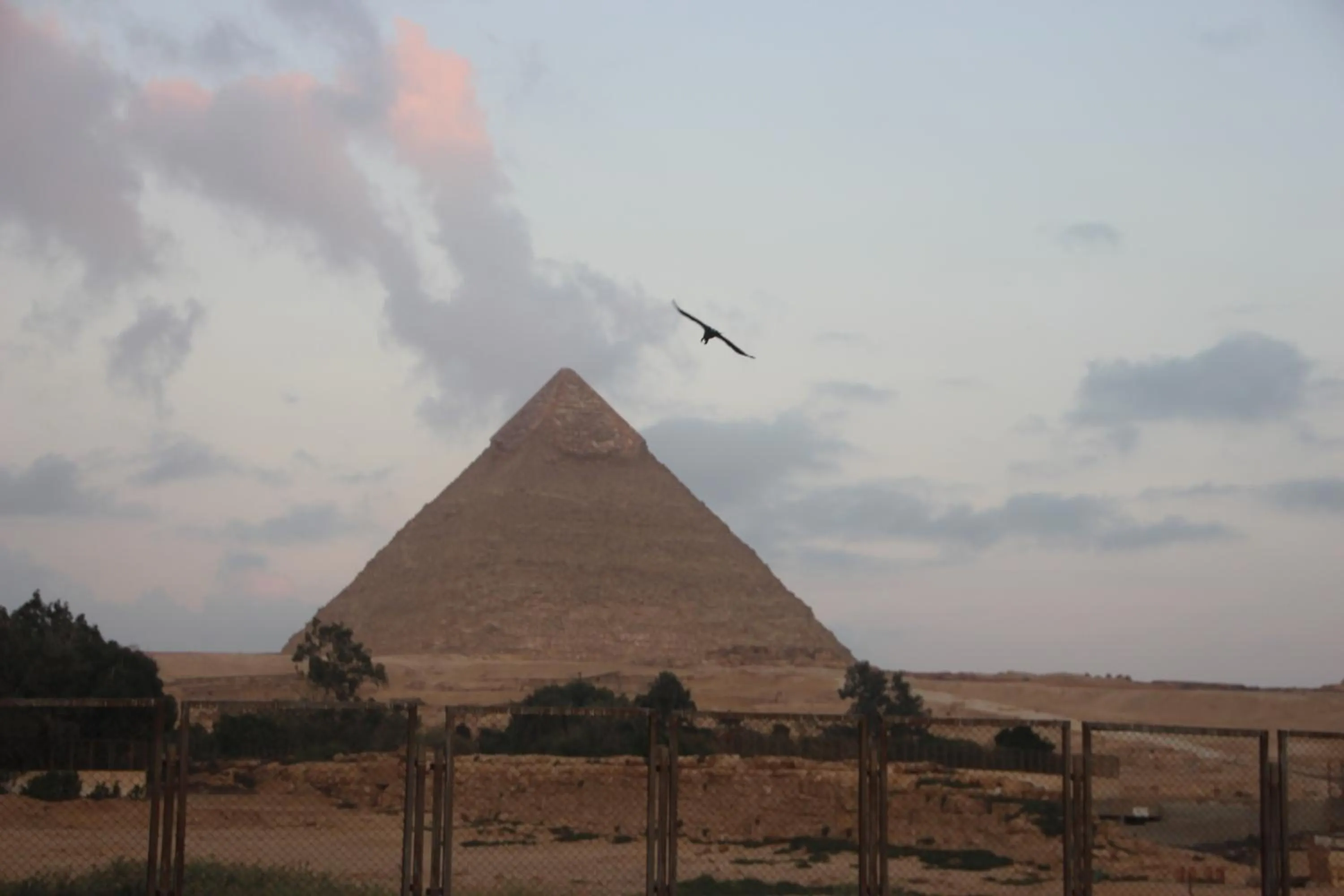 Farida Pyramids Boutique Hotel