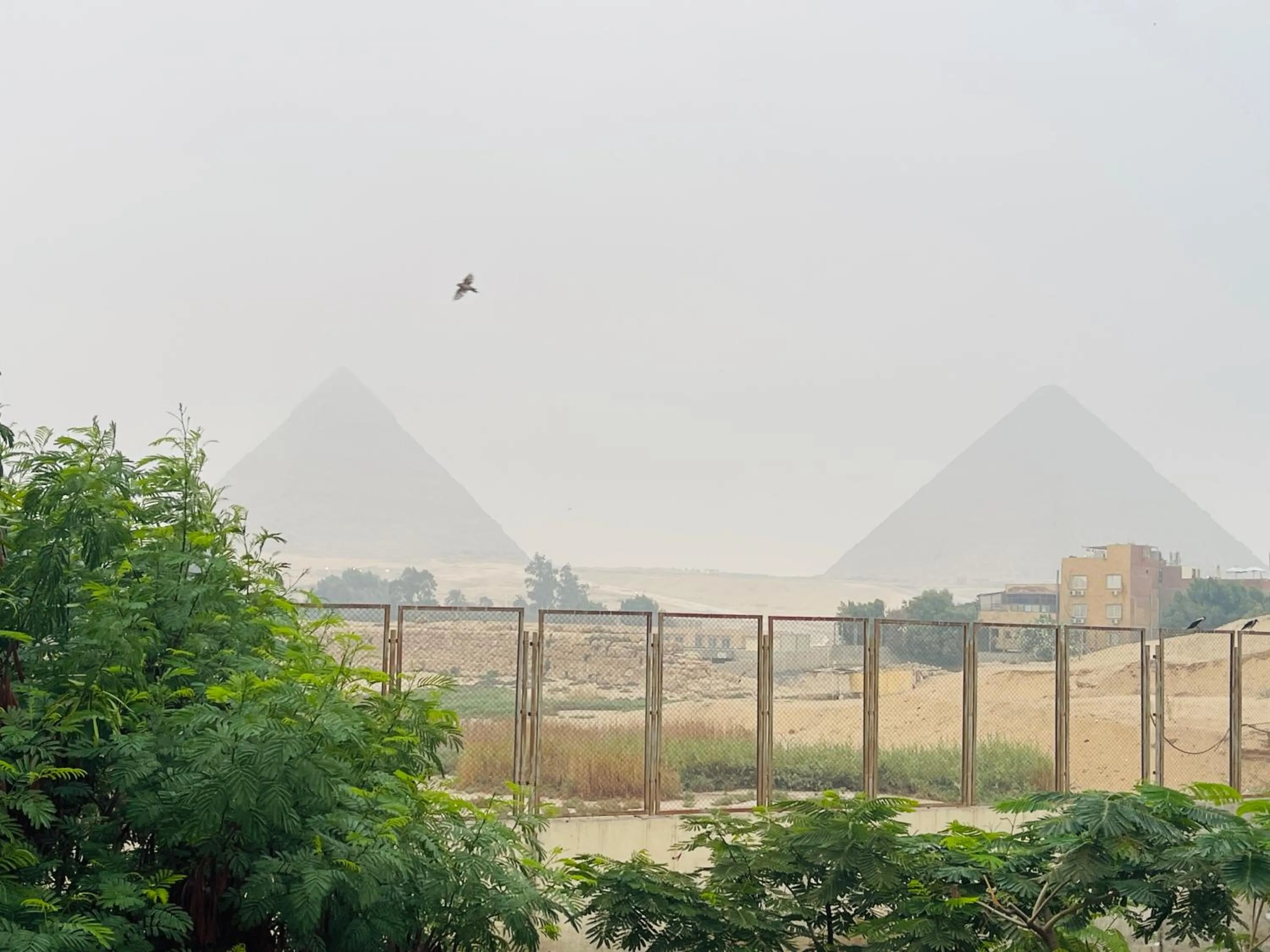 Farida Pyramids Boutique Hotel