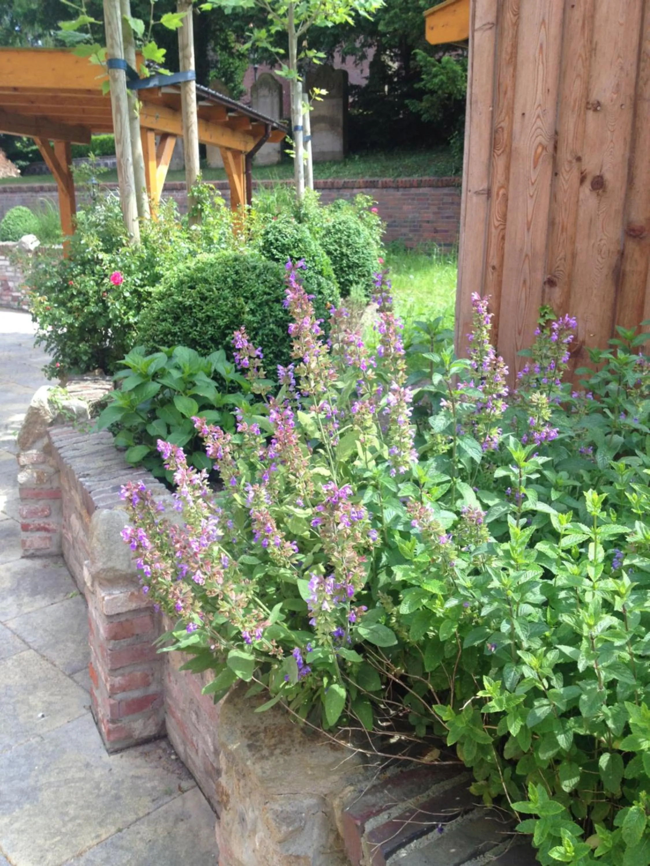 Balcony/Terrace in To`n Schlagboom