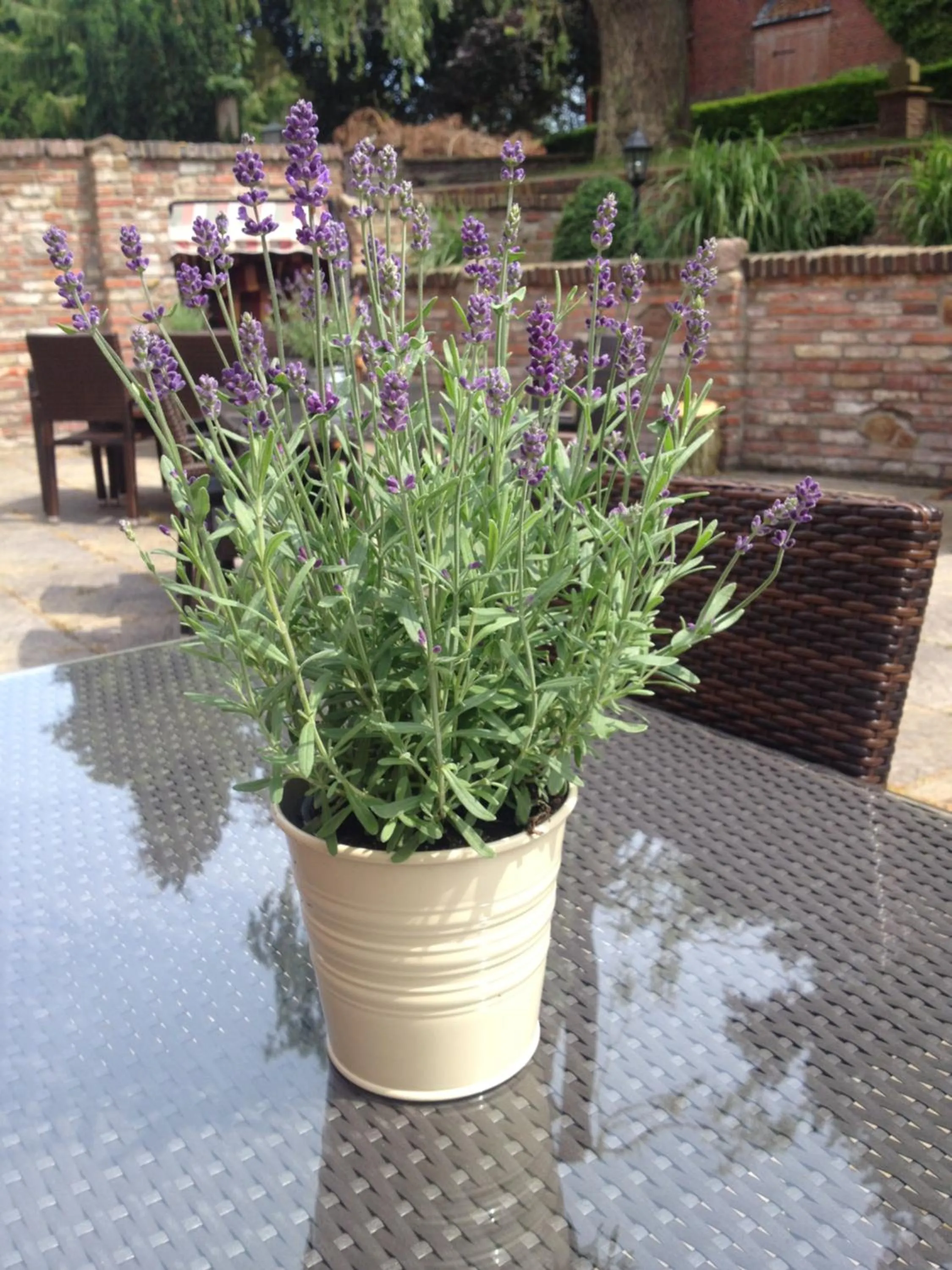 Balcony/Terrace in To`n Schlagboom