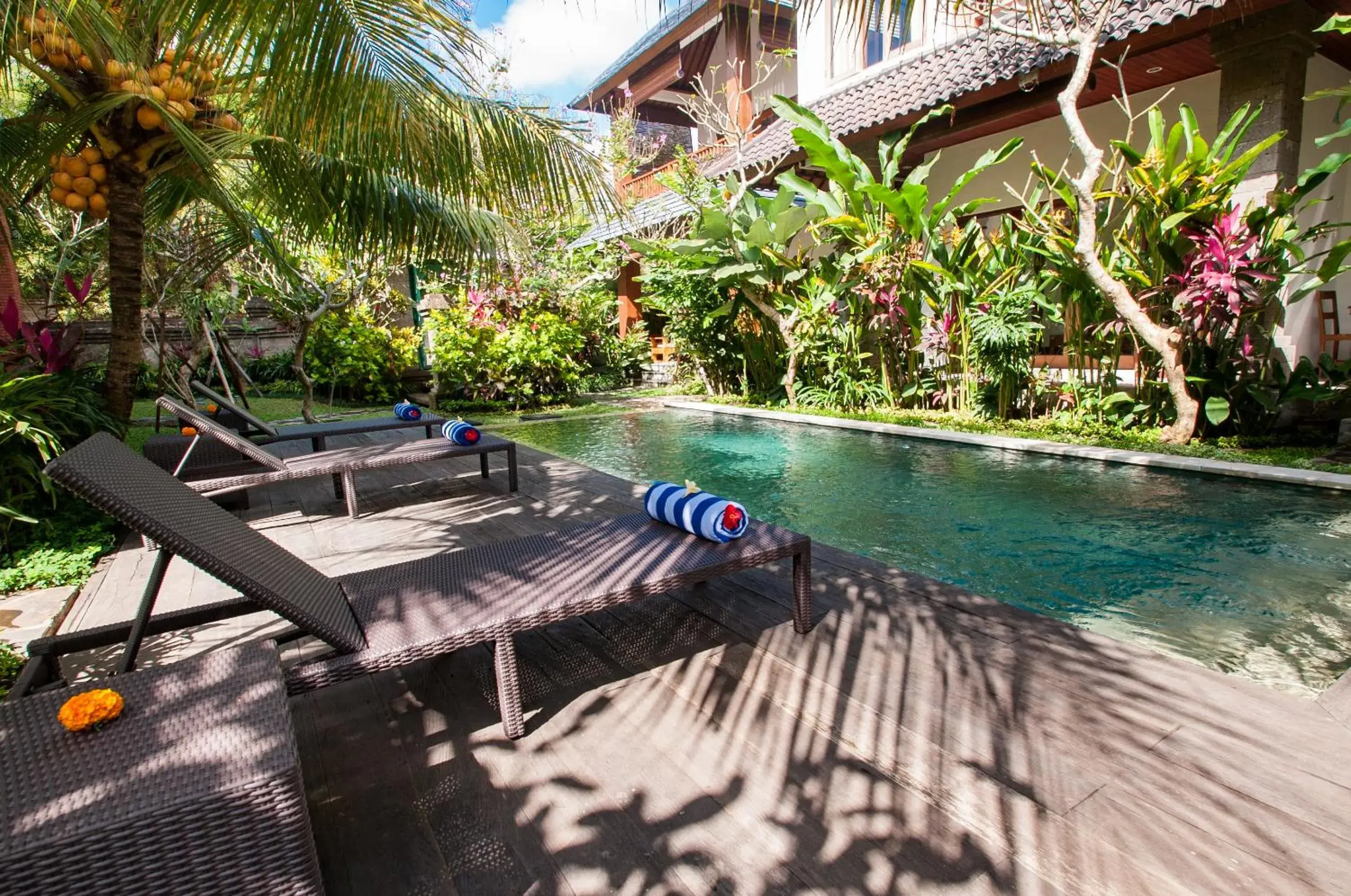 Swimming pool in Flamboyant Villa Ubud Swimming pool in Flamboyant Villa Ubud