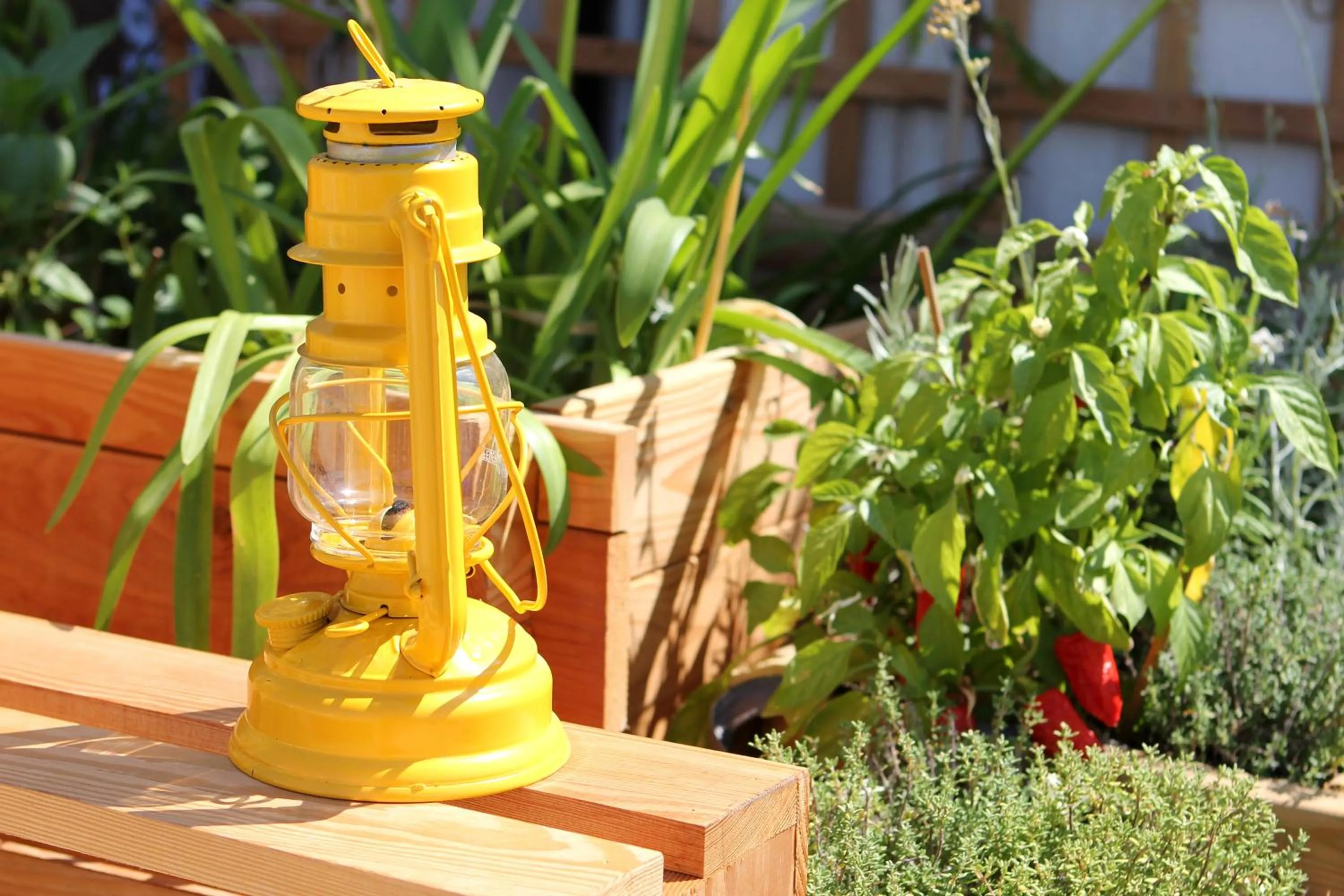 Balcony/Terrace in Hôtel Hermès
