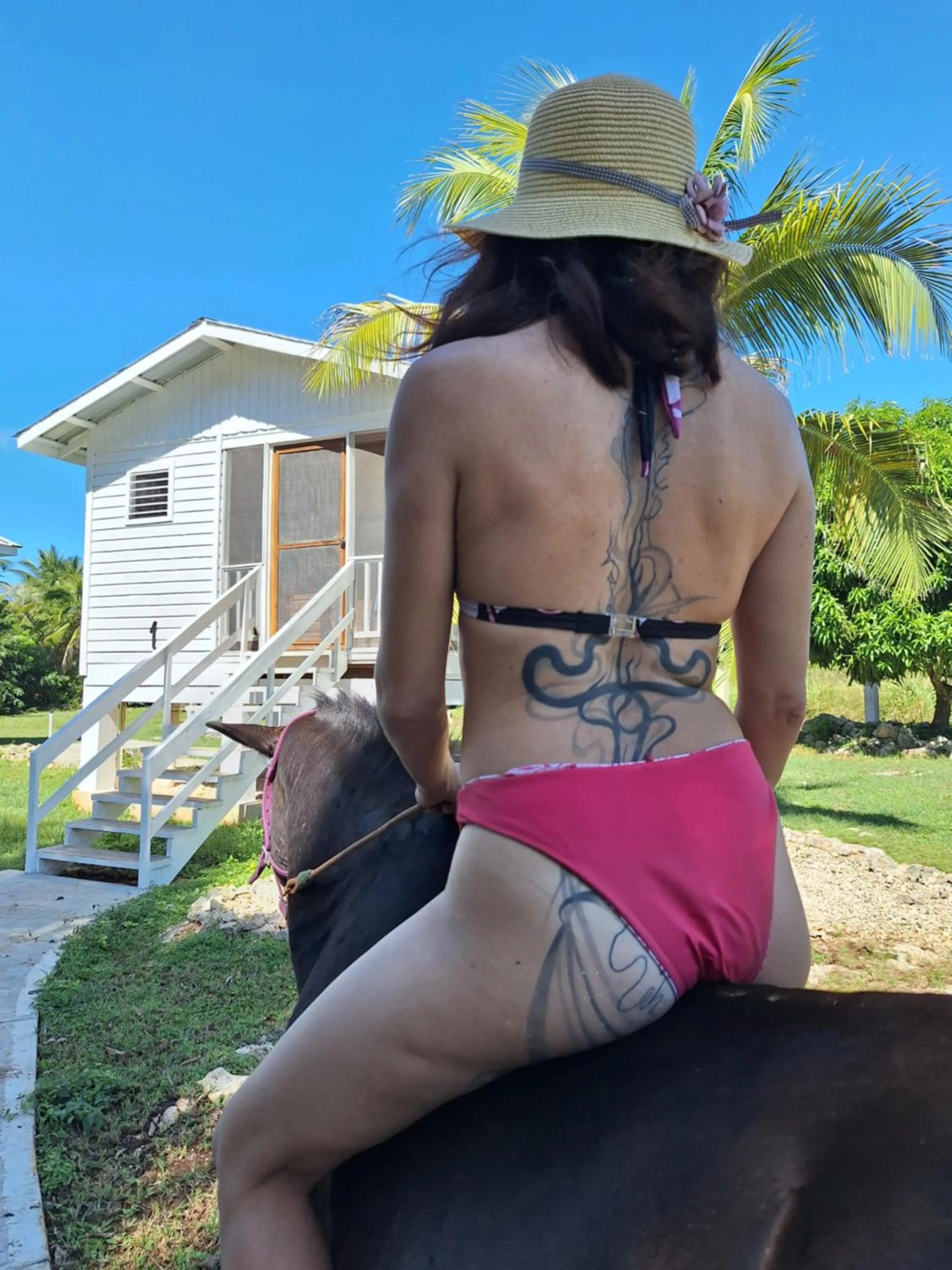 Garden in Horse Cottage