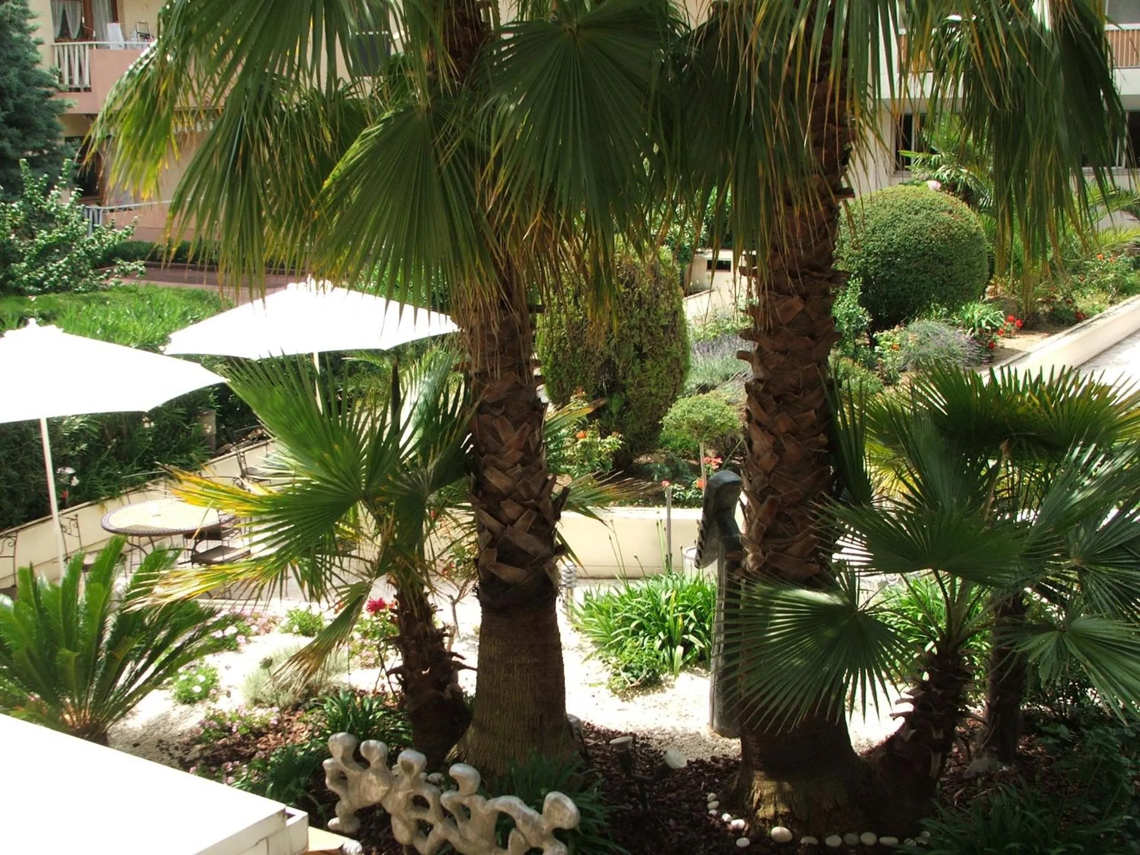 Balcony/Terrace in Logis Hotel Diana