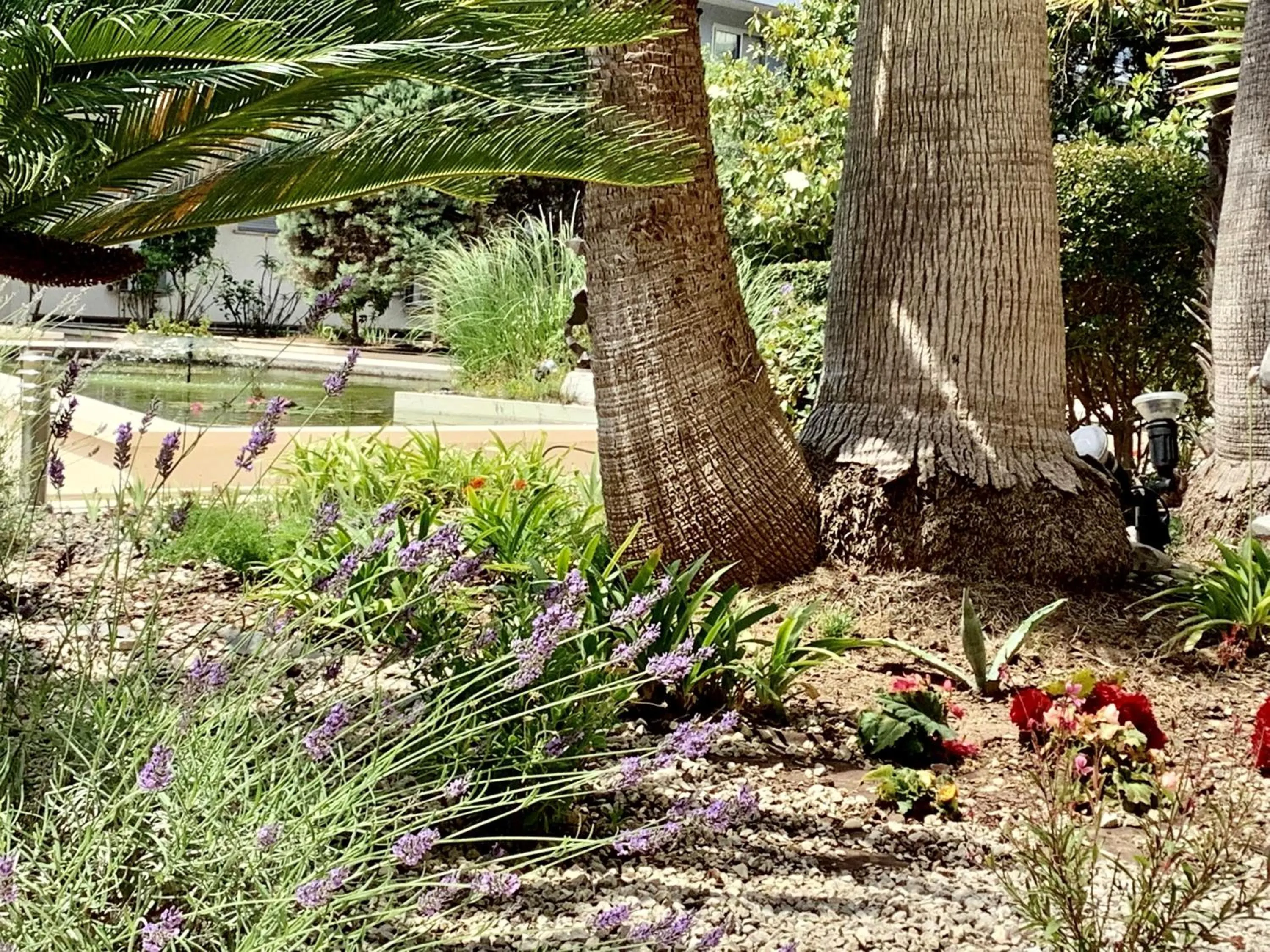 Natural landscape in Logis Hotel Diana