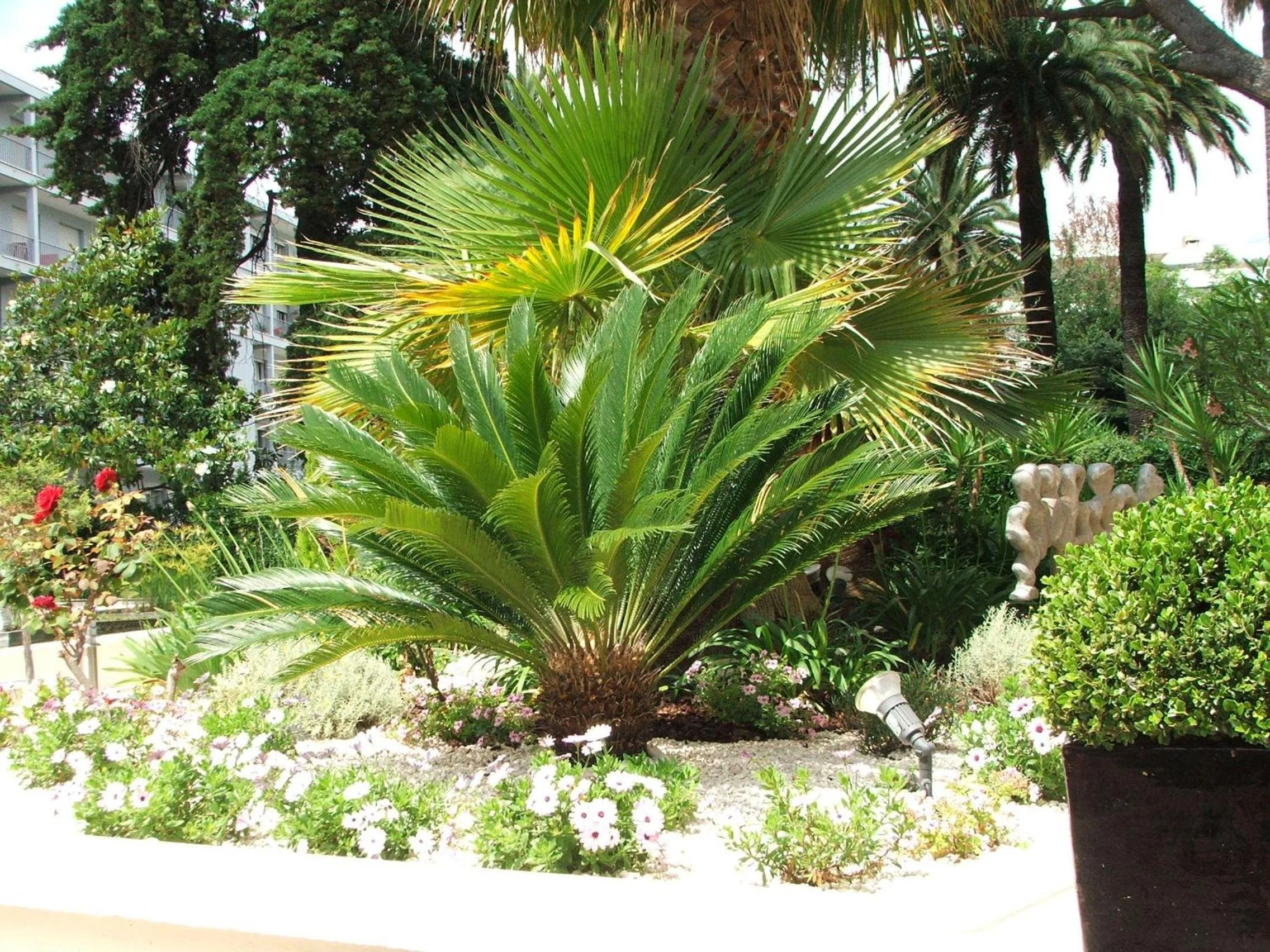 Garden in Logis Hotel Diana