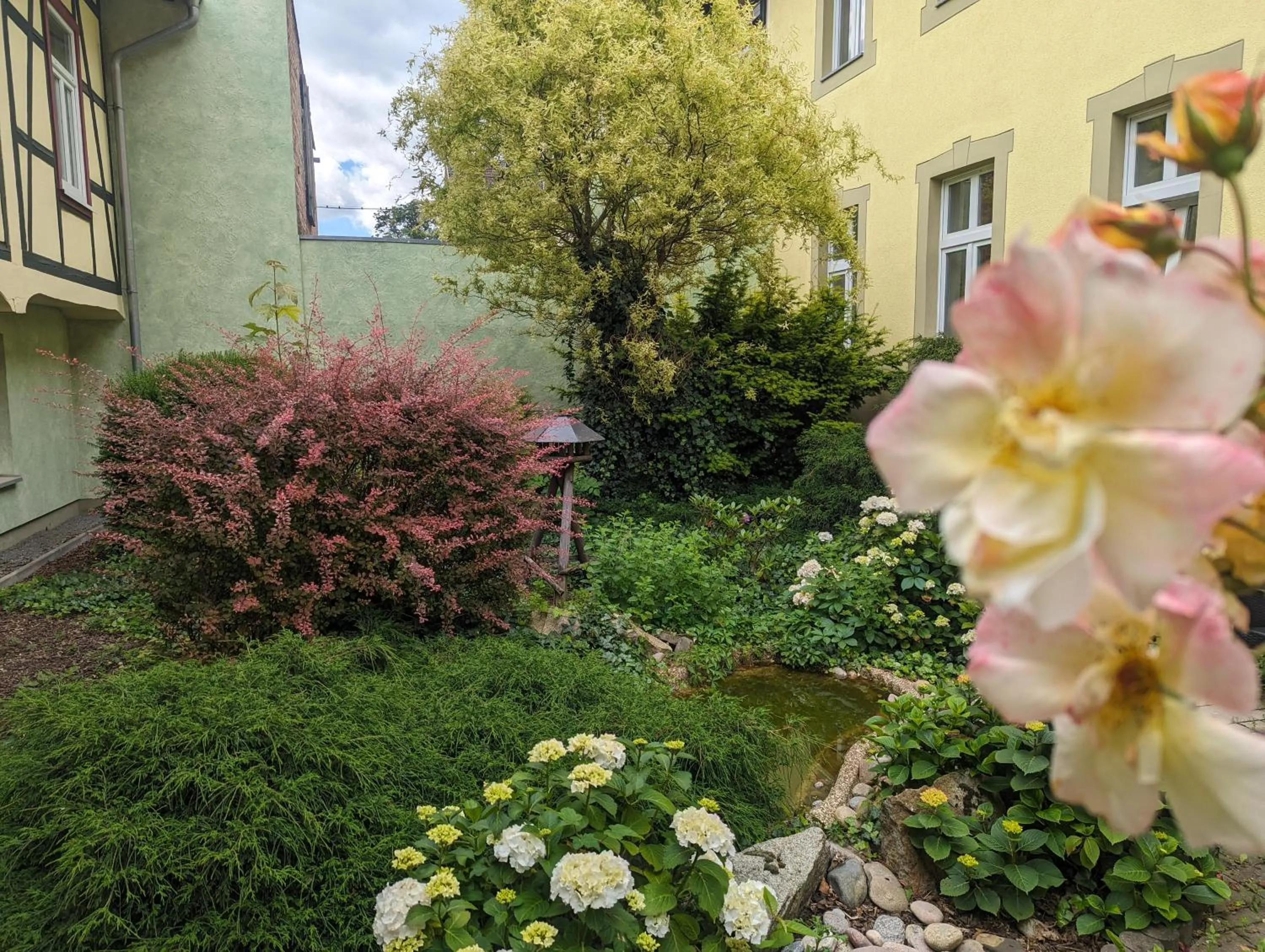 Garden view in Ferienwohnungen An der Bimmelbahn Wernigerode