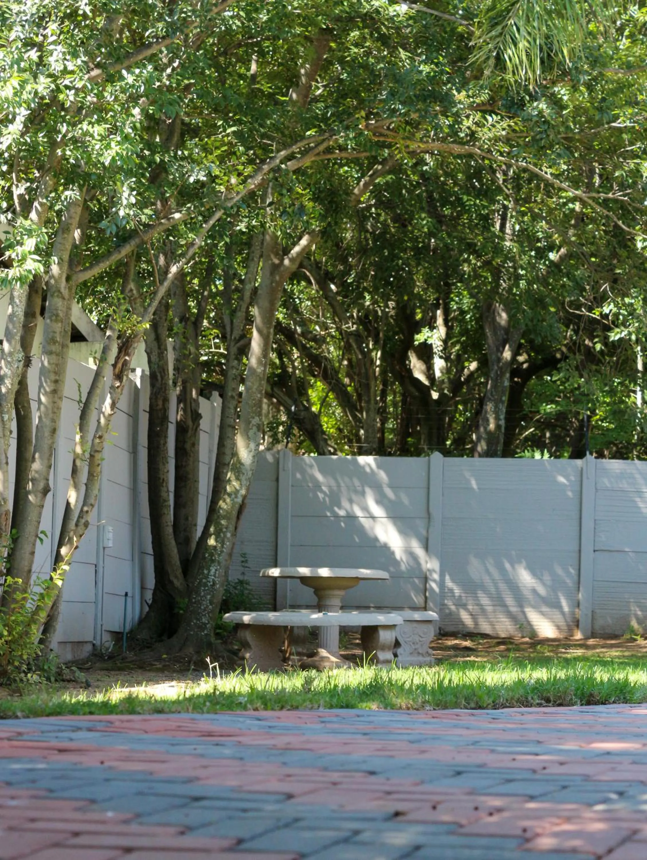 Luxury Heights Guesthouse- Pool under renovation