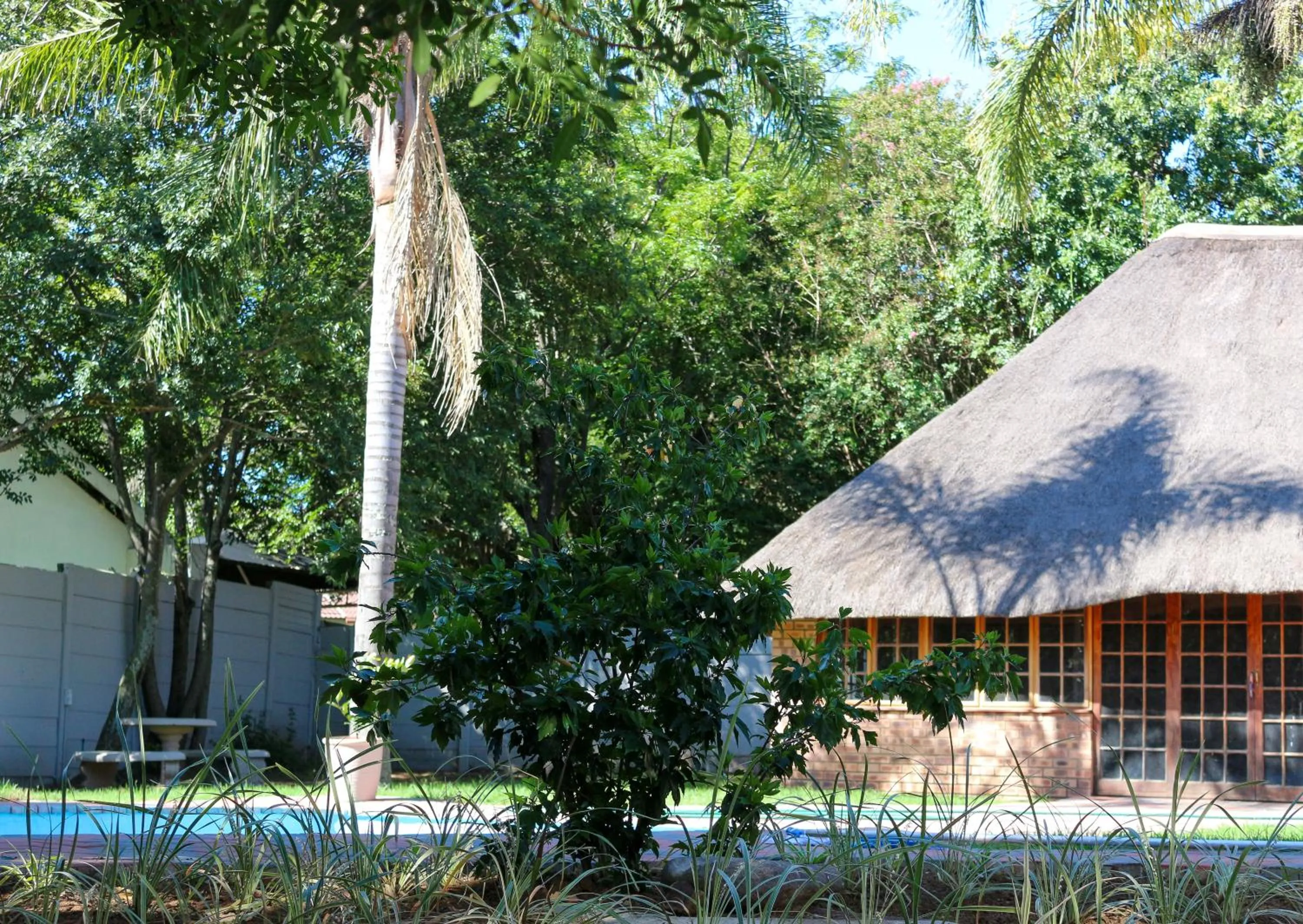 Luxury Heights Guesthouse- Pool under renovation