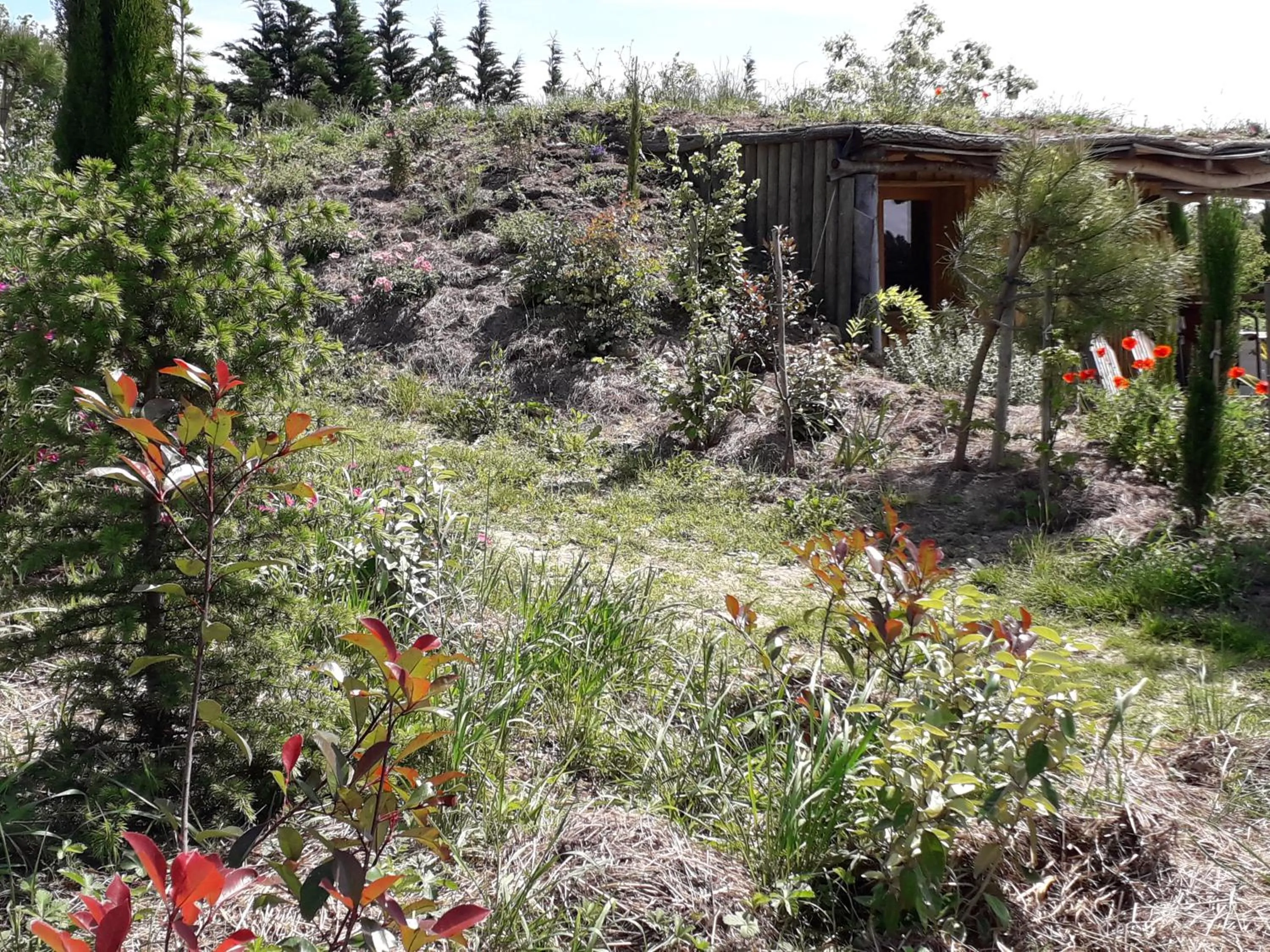 Garden in Cabanes Trésors de Campagne,spas privatifs