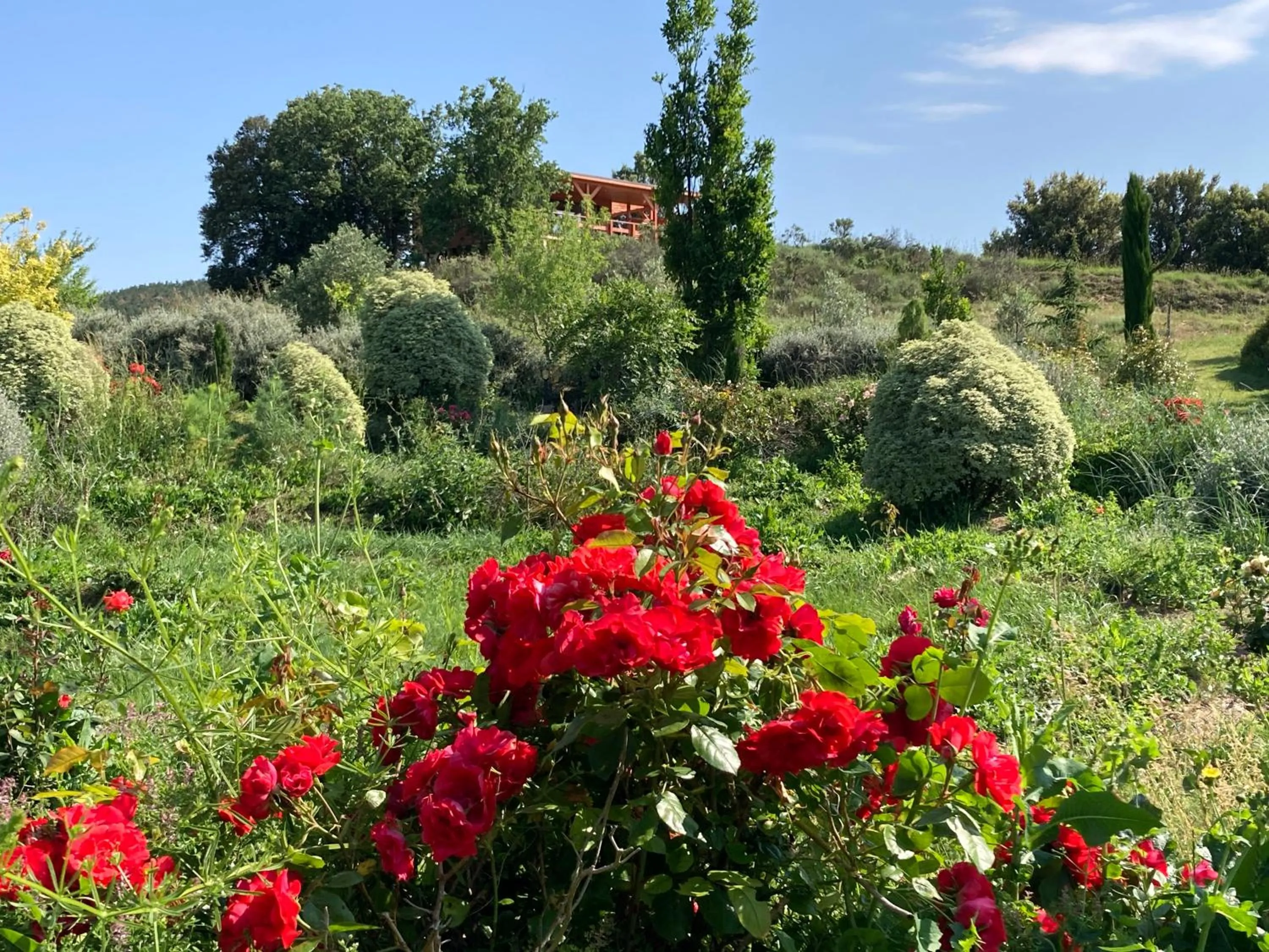 Garden in Cabanes Trésors de Campagne,spas privatifs