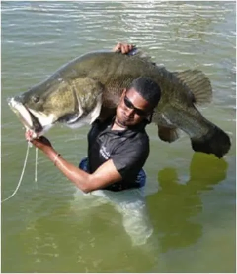 Natural landscape in Hllol Hotel Abu Simbel