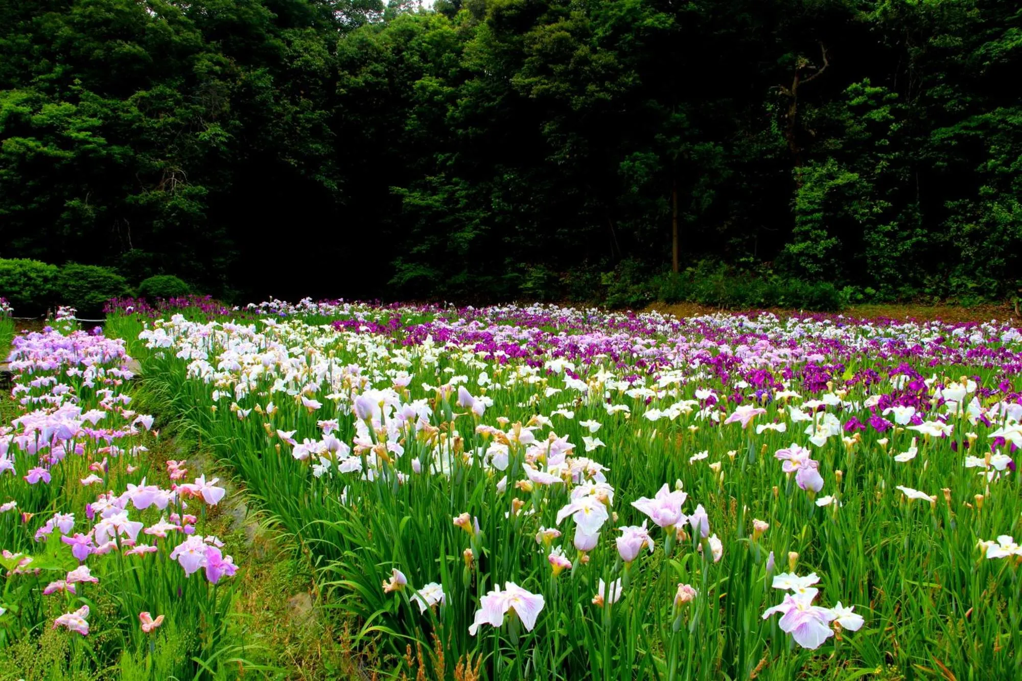 Tabist Asa Station Hotel