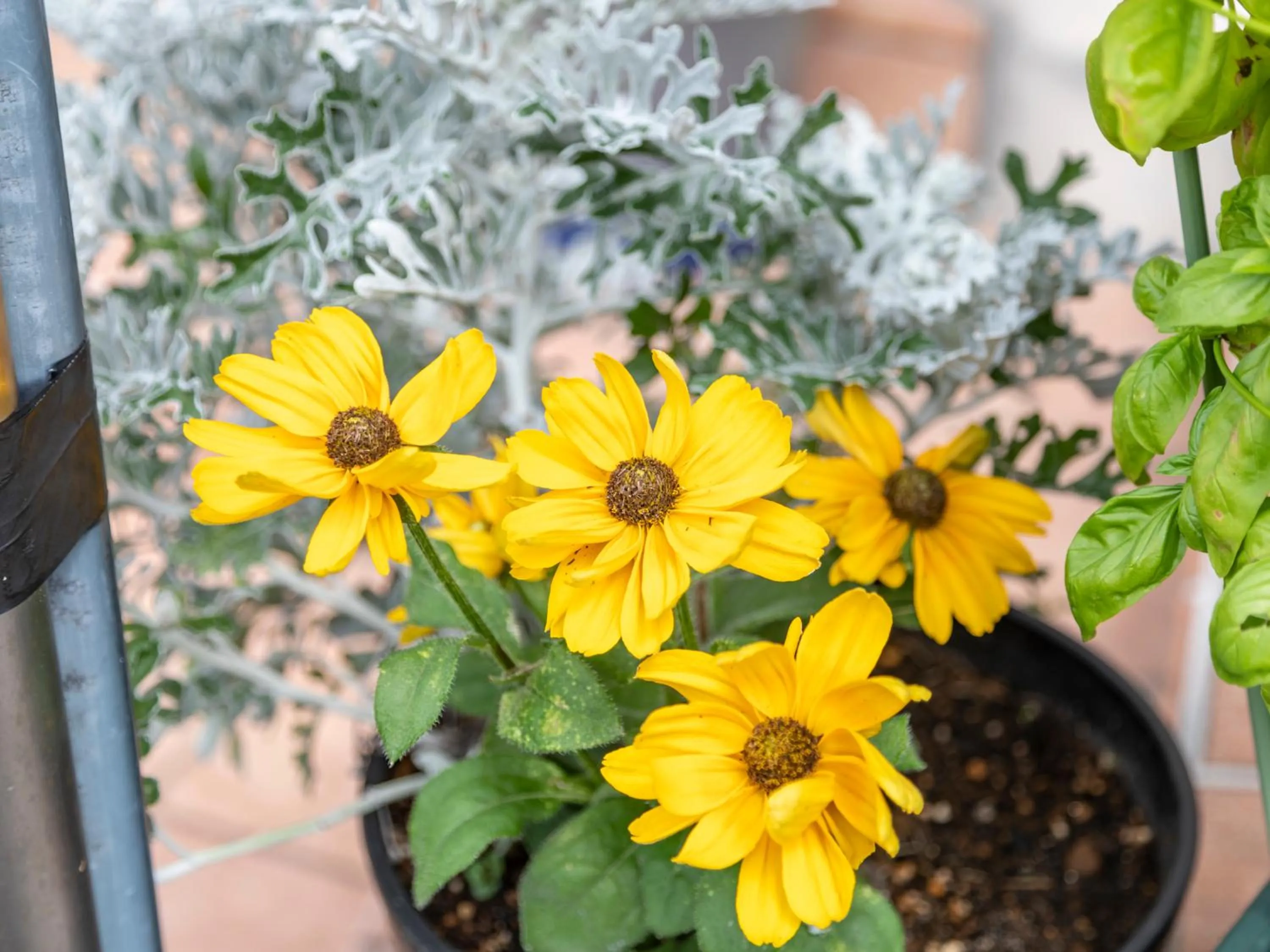 Tabist Asa Station Hotel