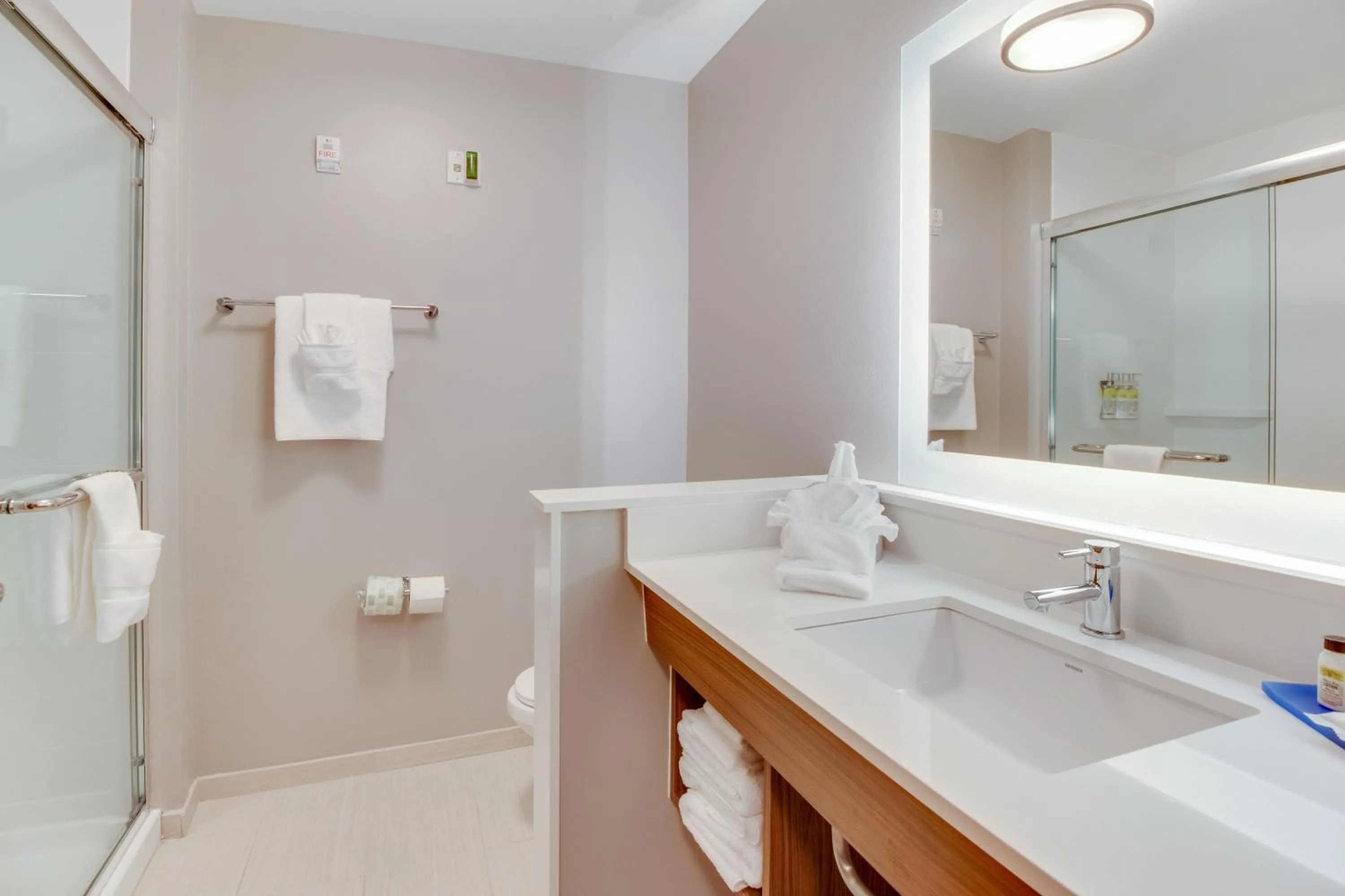 Bathroom in Holiday Inn Express & Suites - Union City by IHG