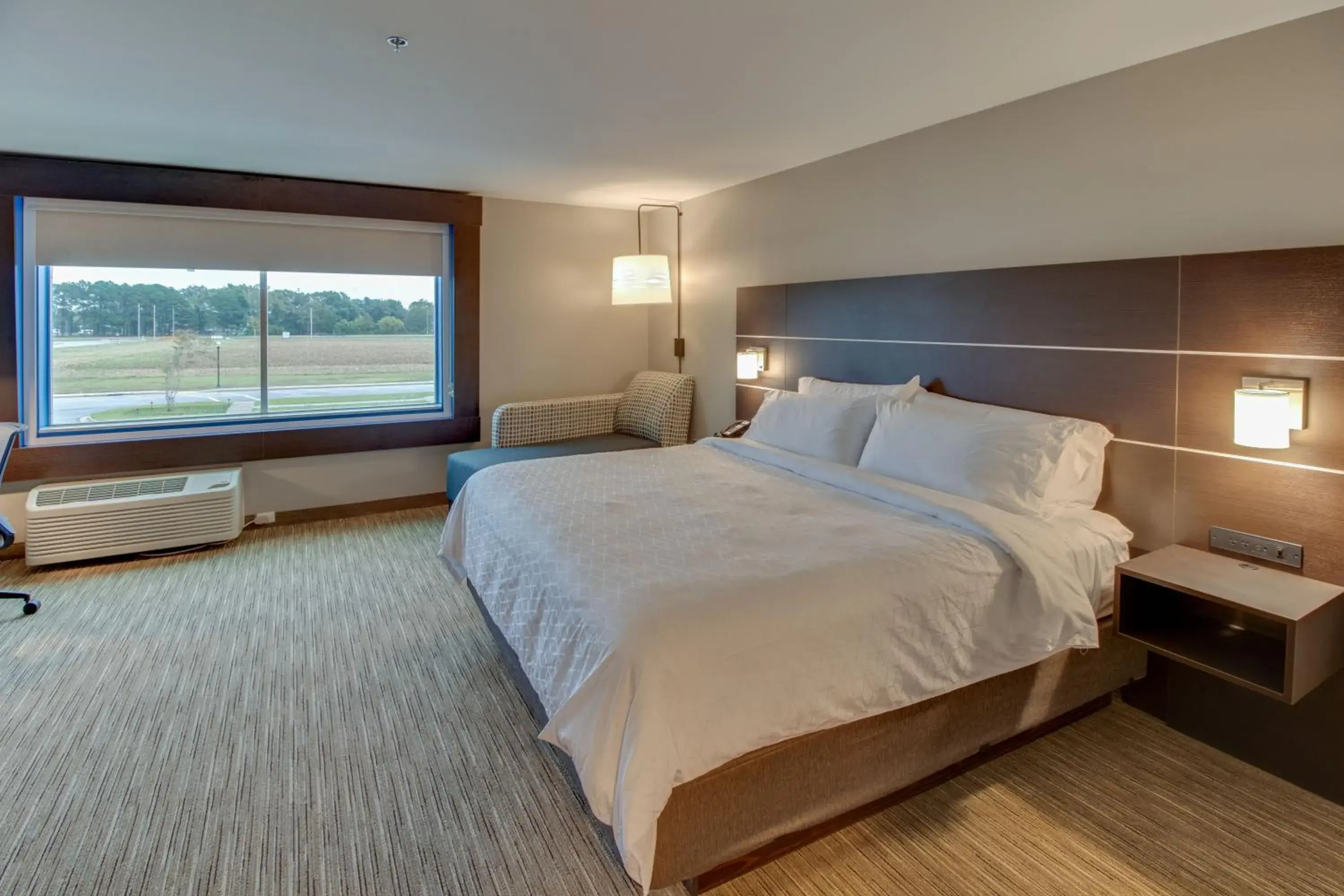 Standard King Room in Holiday Inn Express & Suites - Union City by IHG Standard King Room in Holiday Inn Express & Suites - Union City by IHG