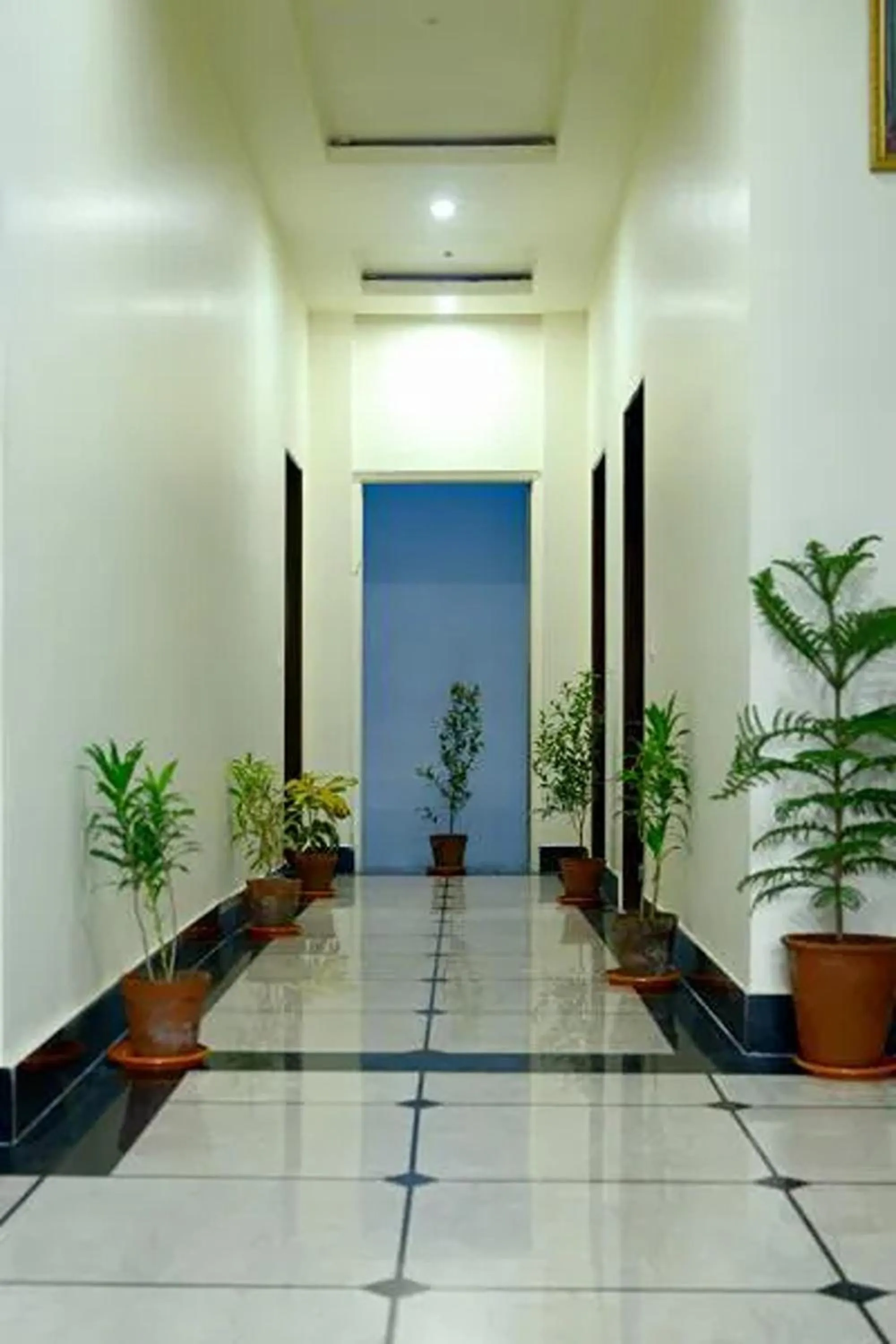 Hotel Dior Near Jal Mahal, Jaipur