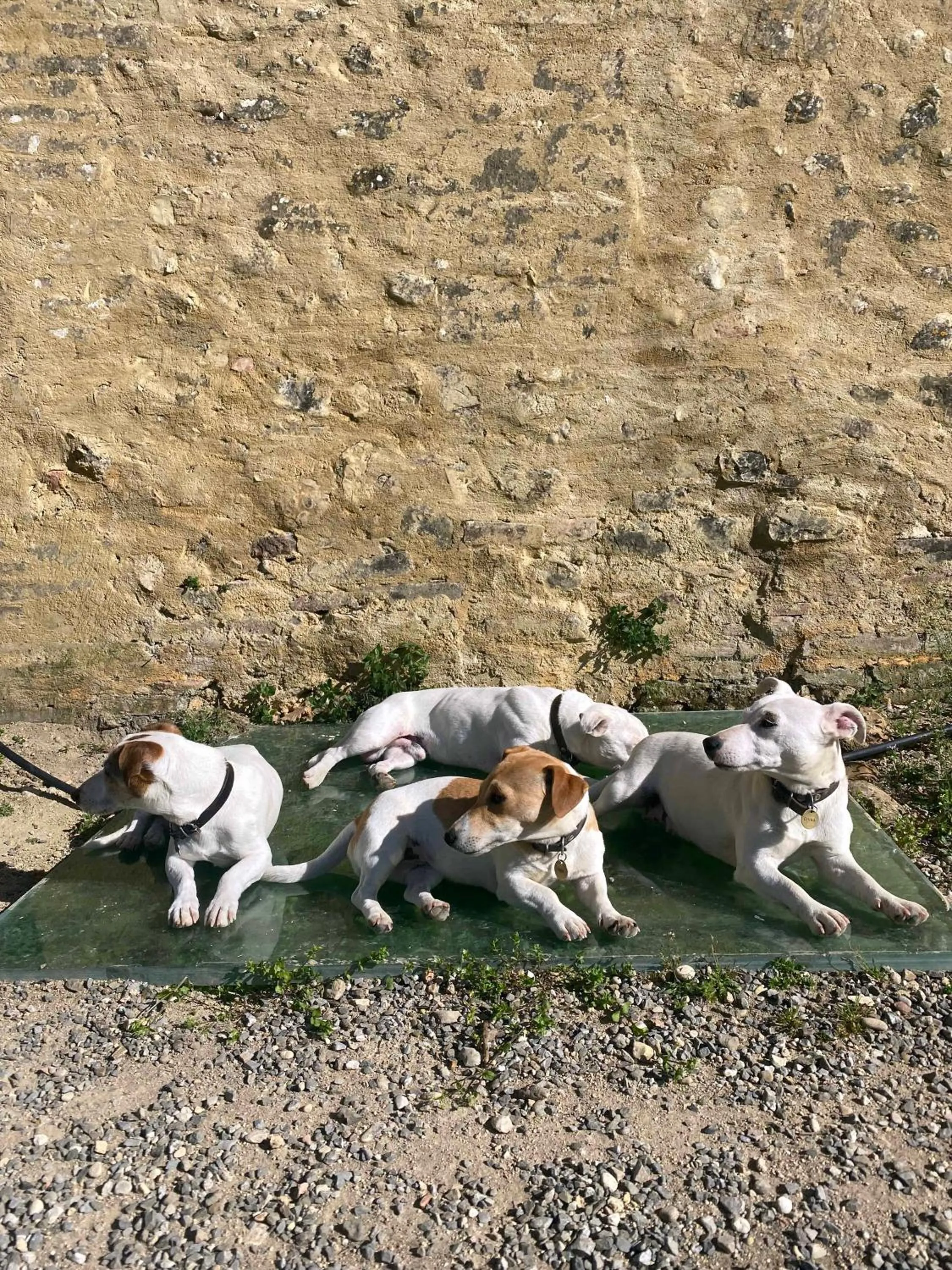 Staff in Campora House