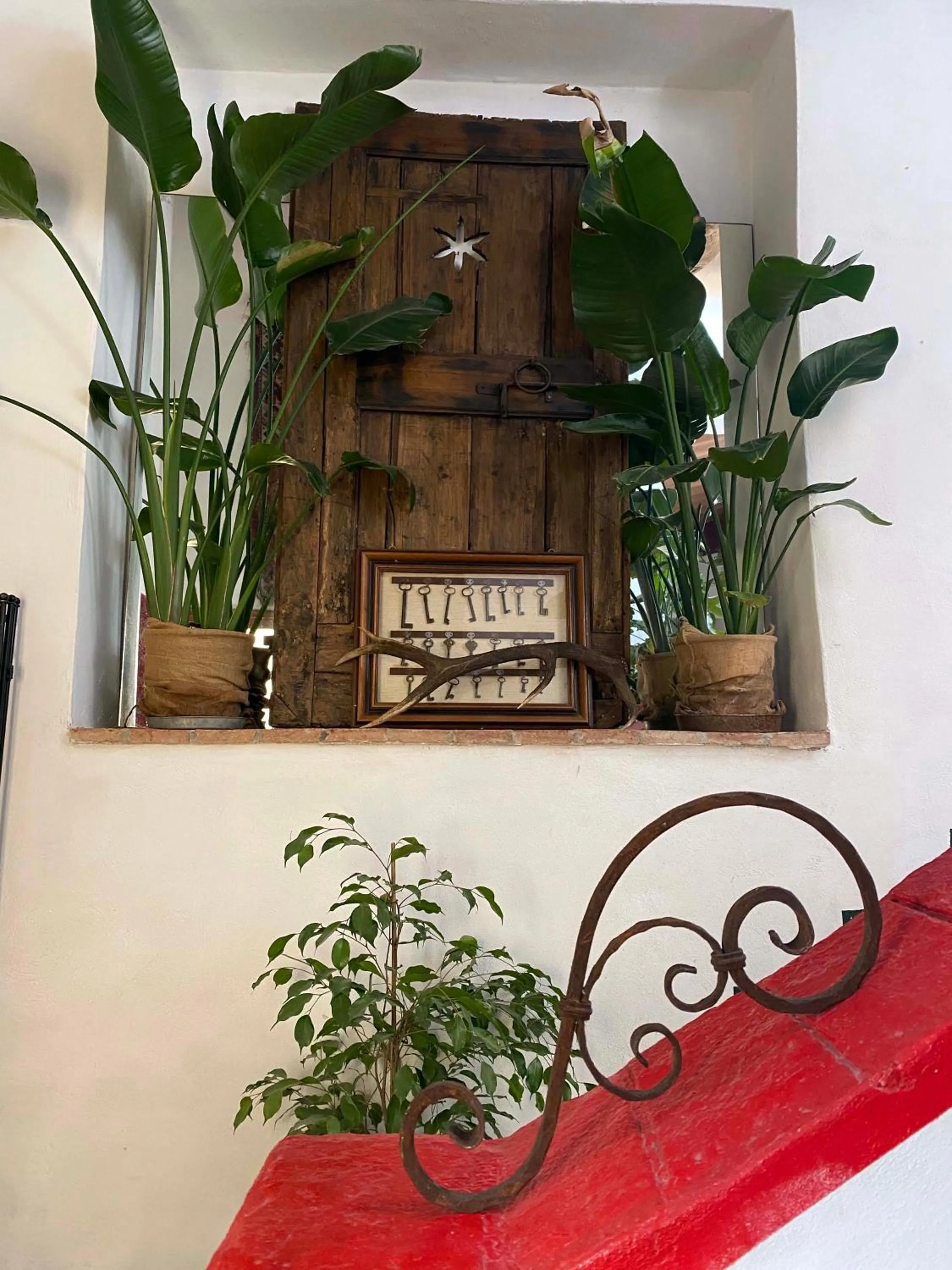 Decorative detail in Campora House