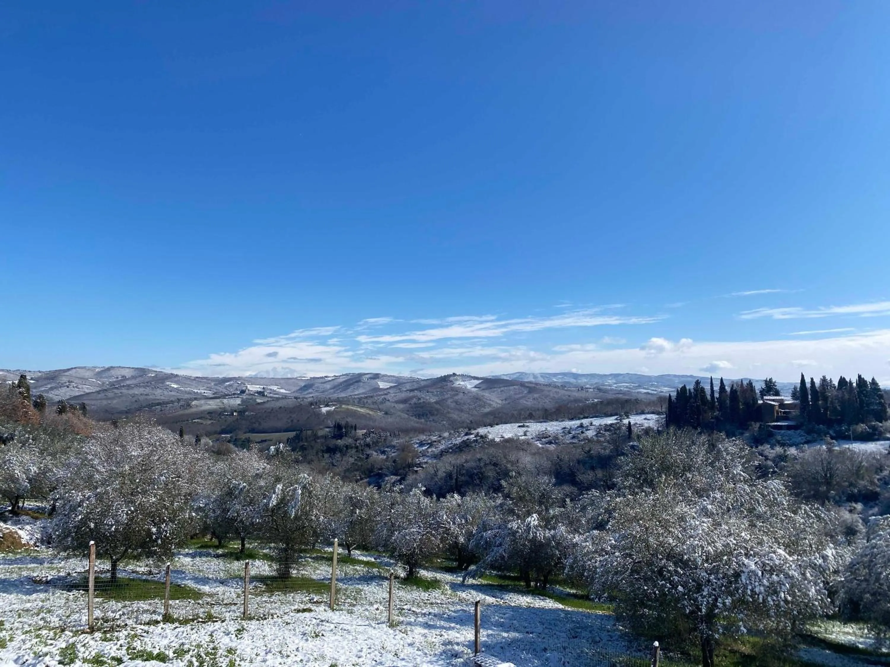 Other in Campora House