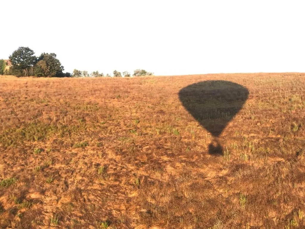 Sports in Campora House