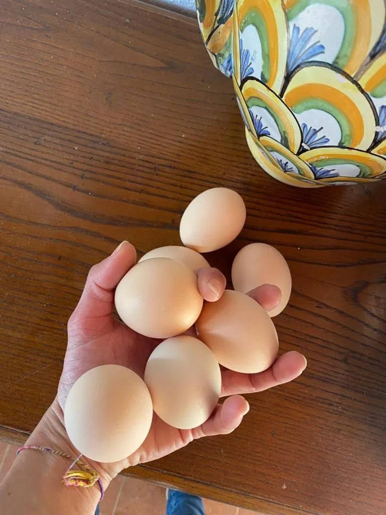 Food in Campora House