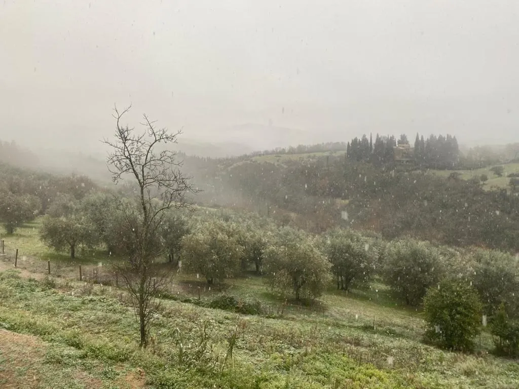 Natural landscape in Campora House