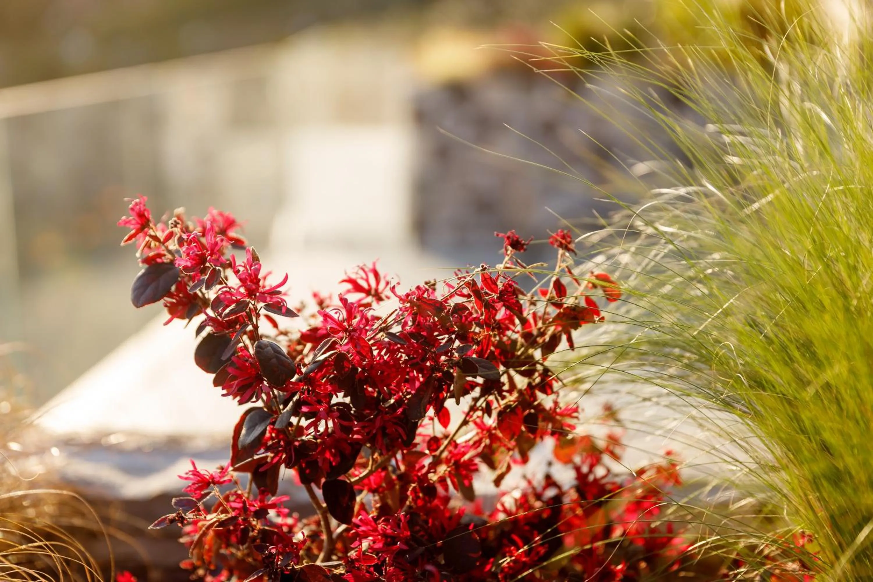 Decorative detail in Deville & Spa