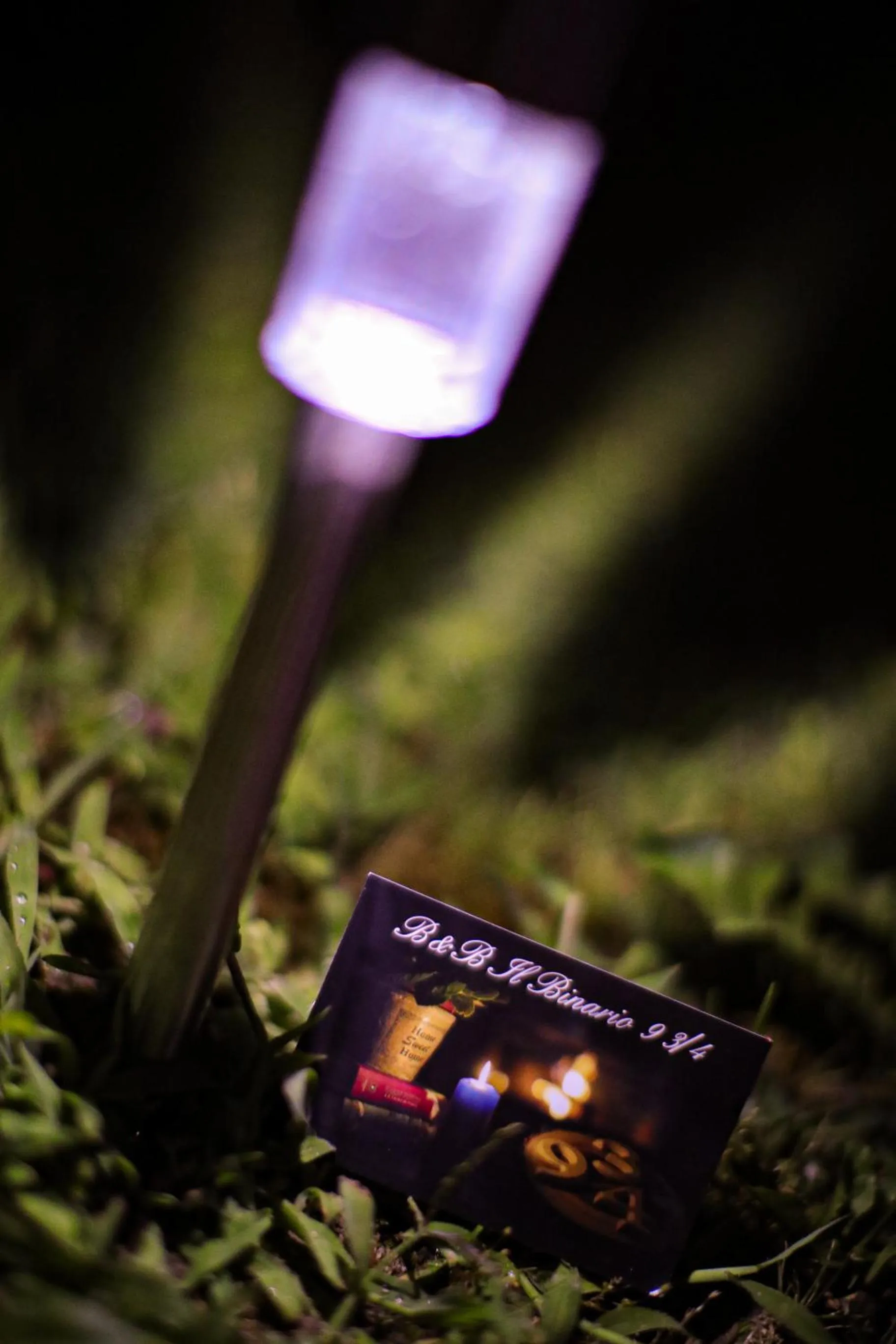 Decorative detail in Binario 9 3/4