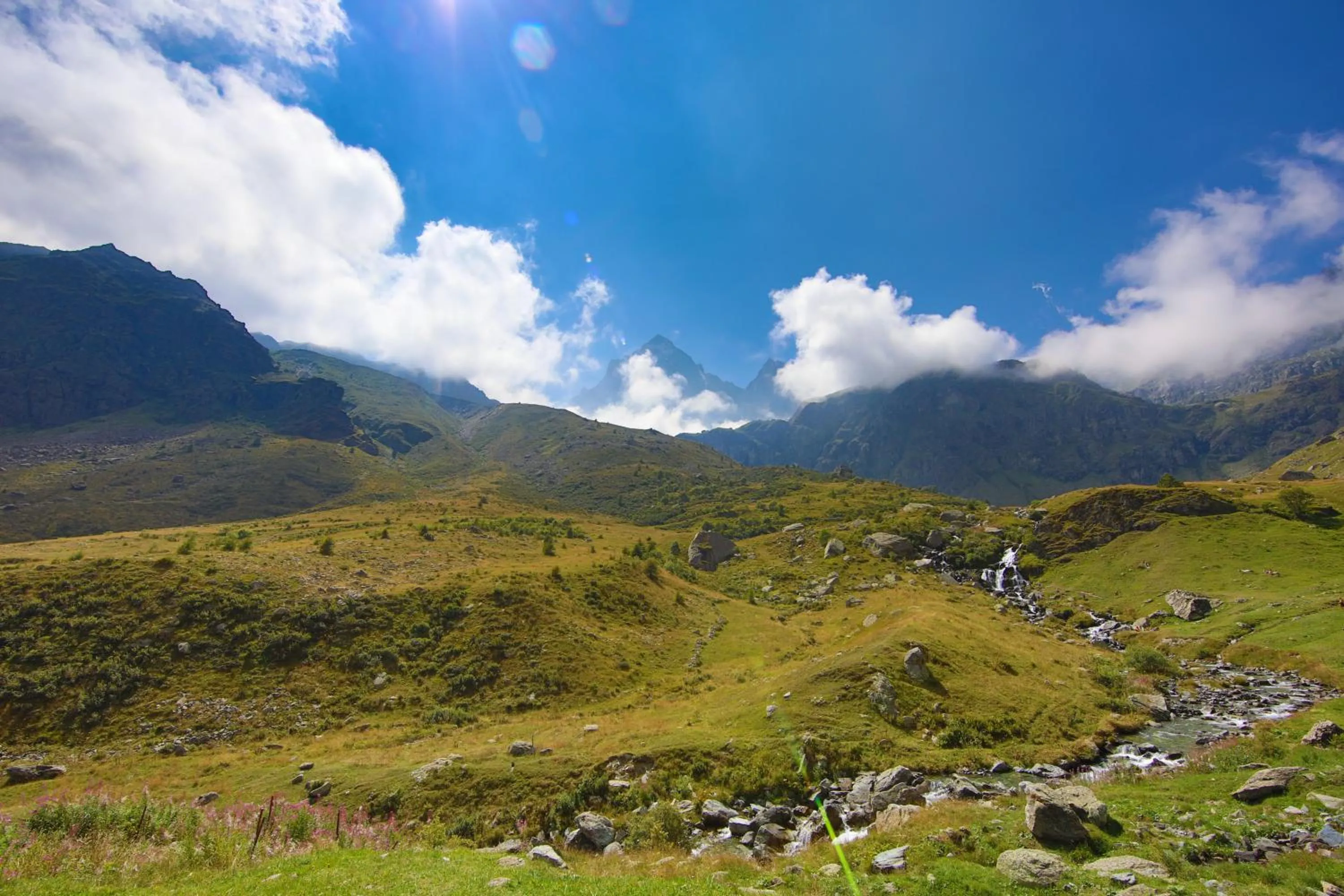 Natural landscape in Binario 9 3/4