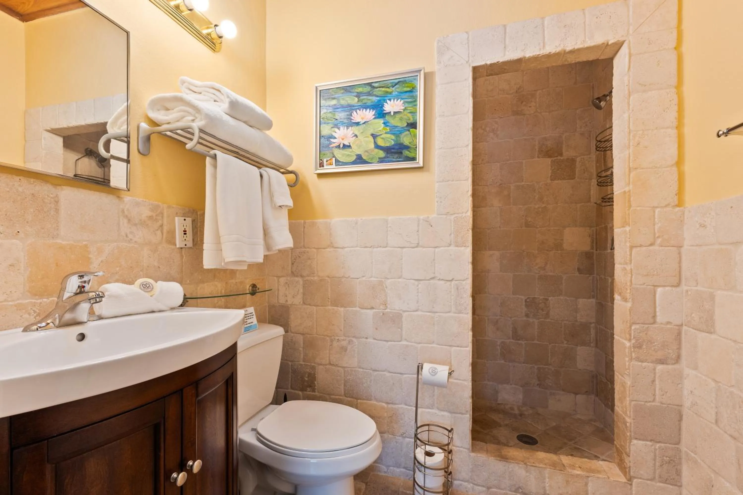 Shower in Old Colorado Inn