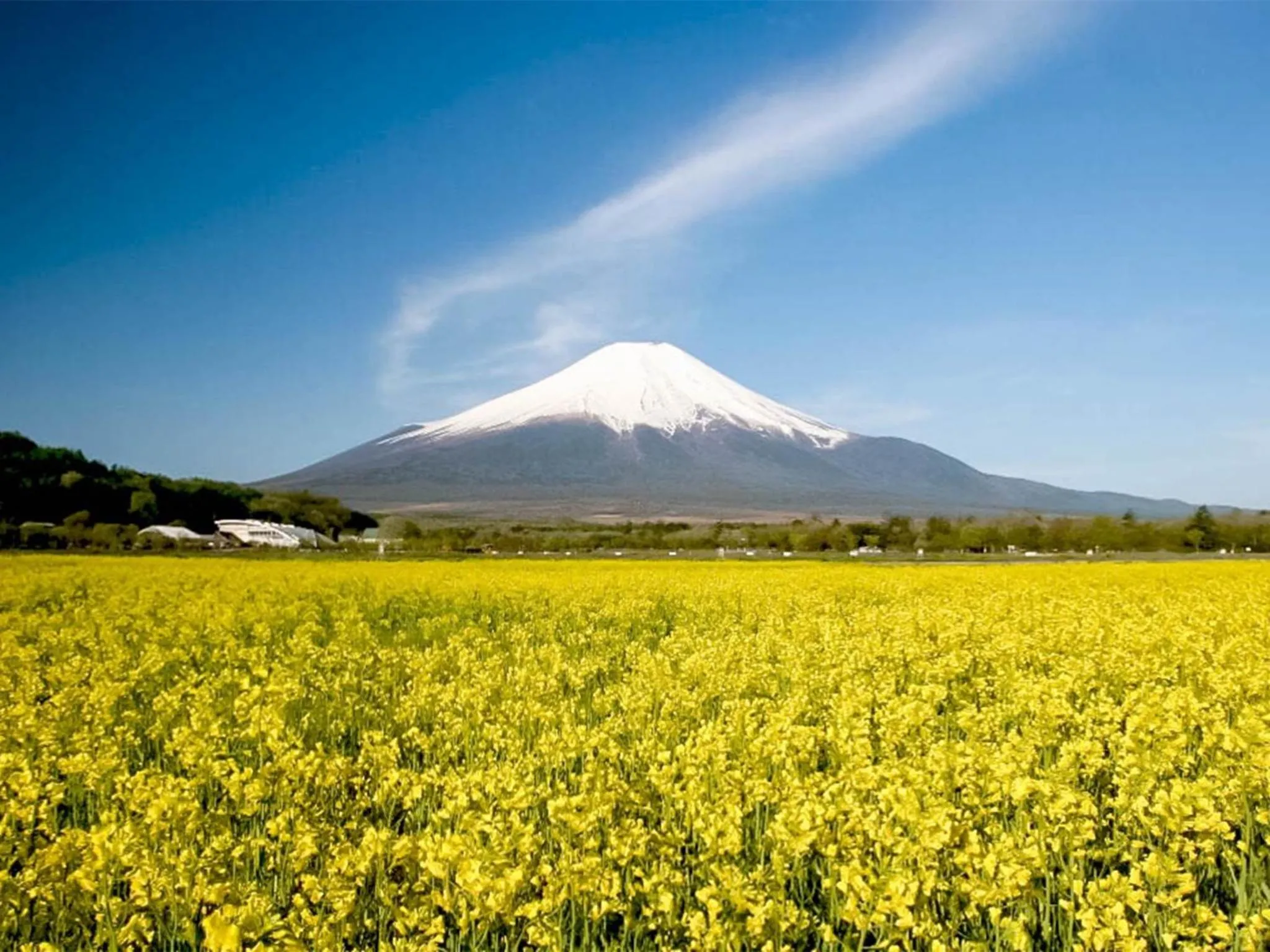 Minamitsuru-gun - Hotel / Vacation STAY 45535