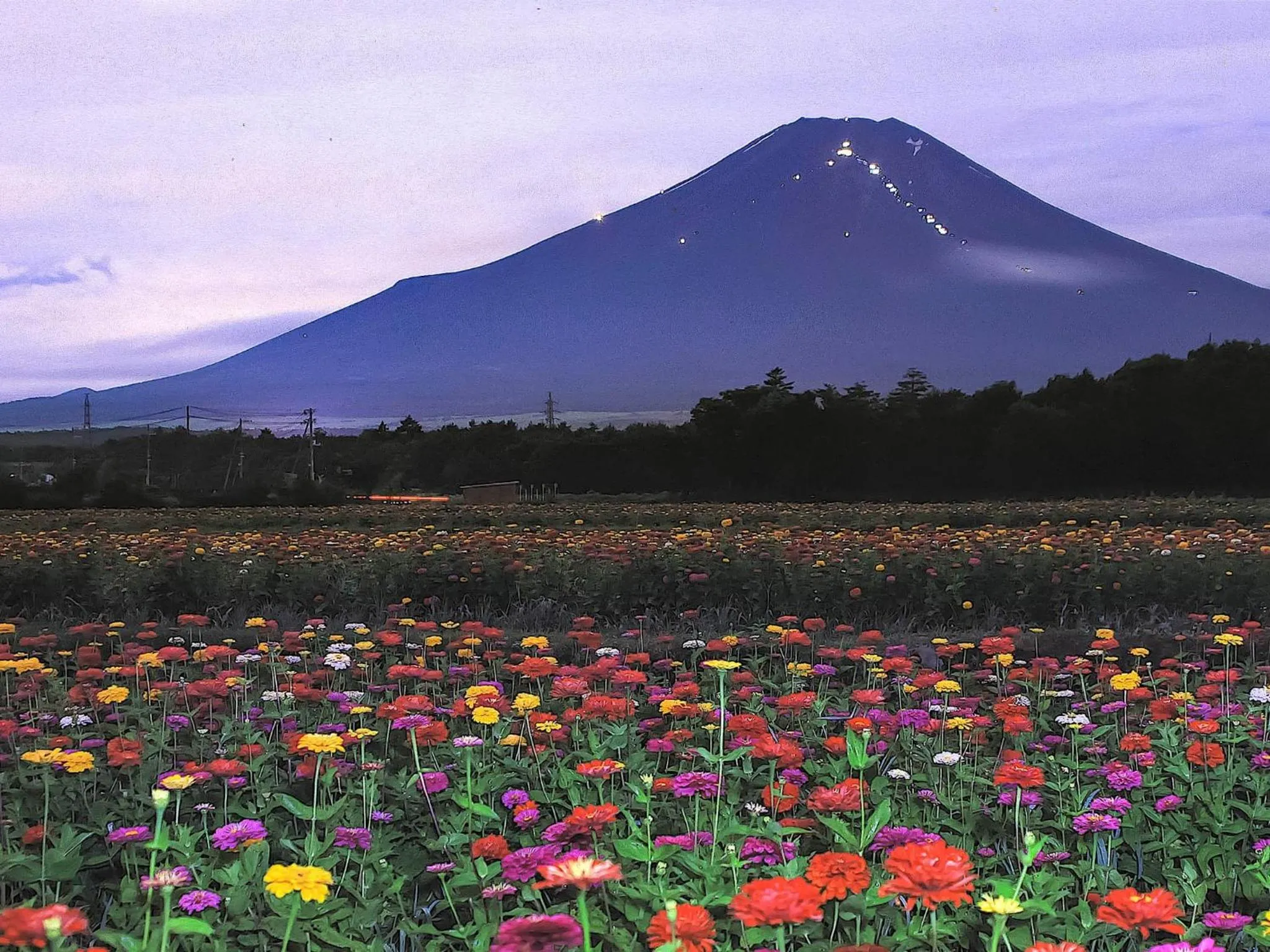 Minamitsuru-gun - Hotel / Vacation STAY 45535