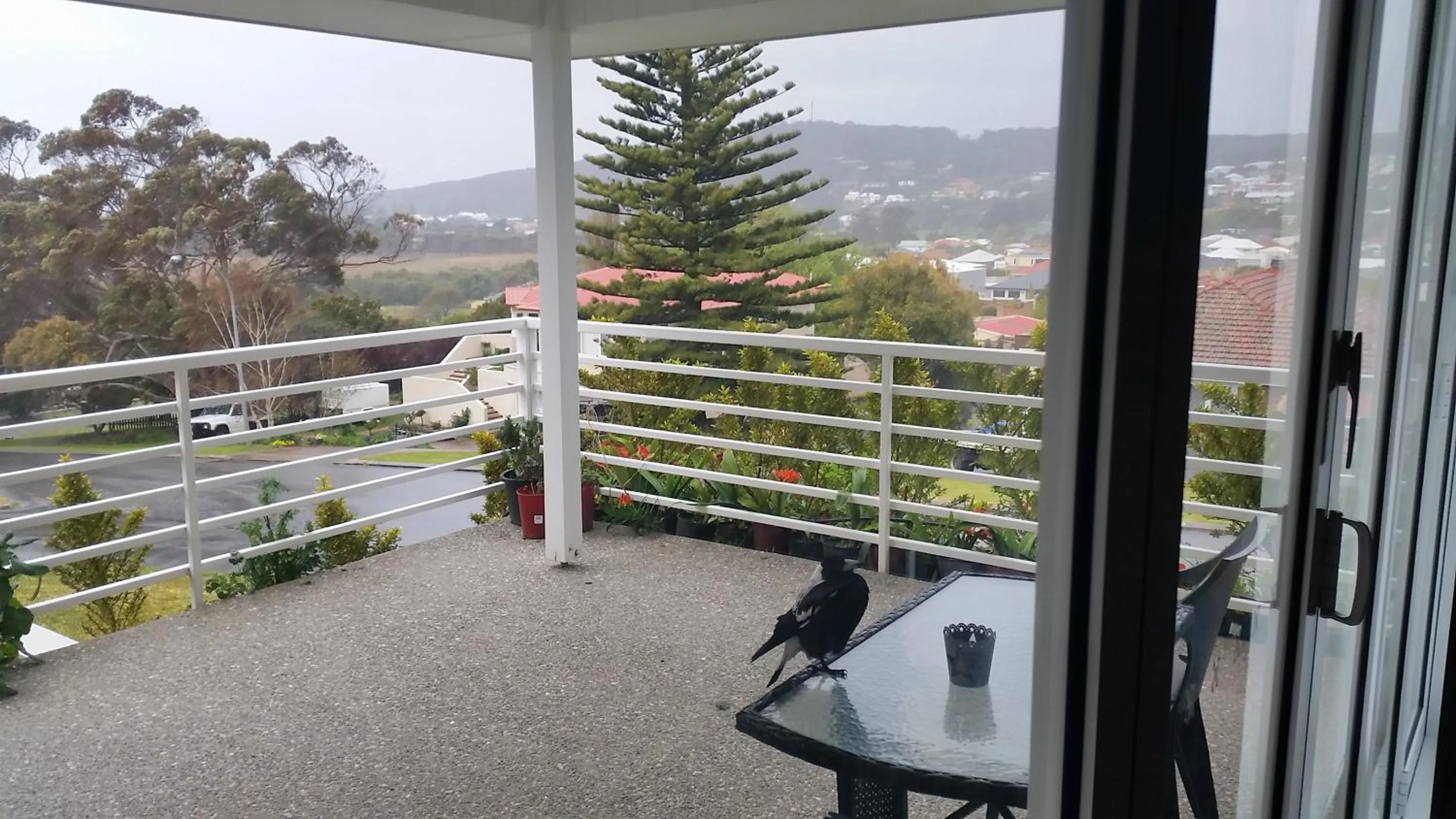 Balcony/Terrace in C'est La Vie Bed & Breakfast