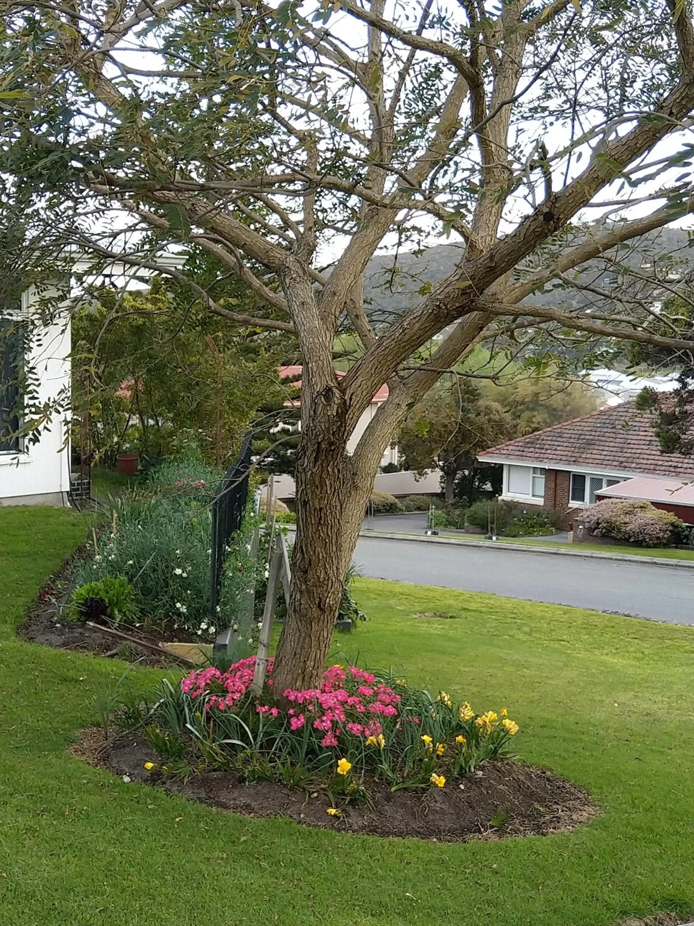 Property building in C'est La Vie Bed & Breakfast