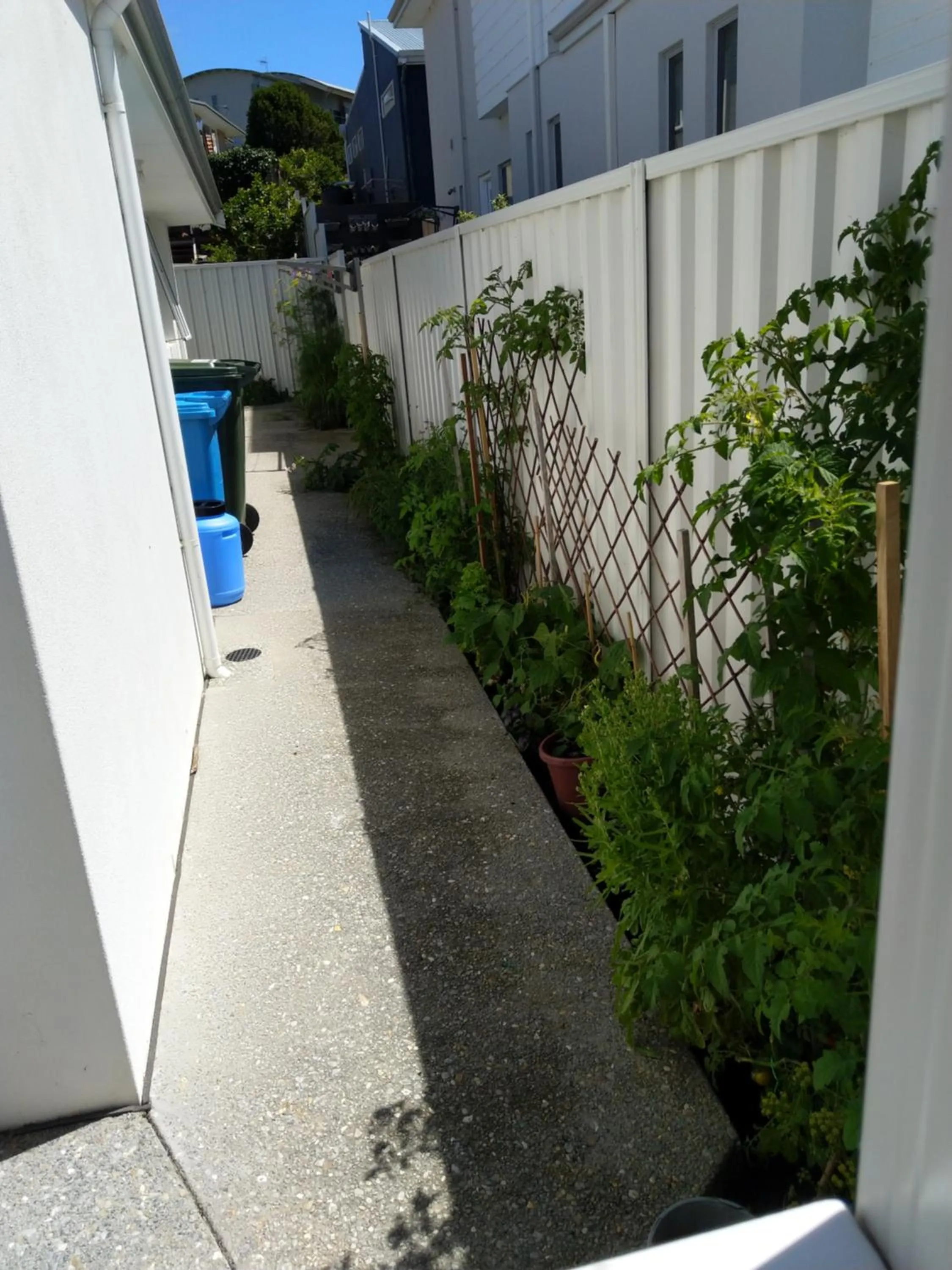 Garden in C'est La Vie Bed & Breakfast