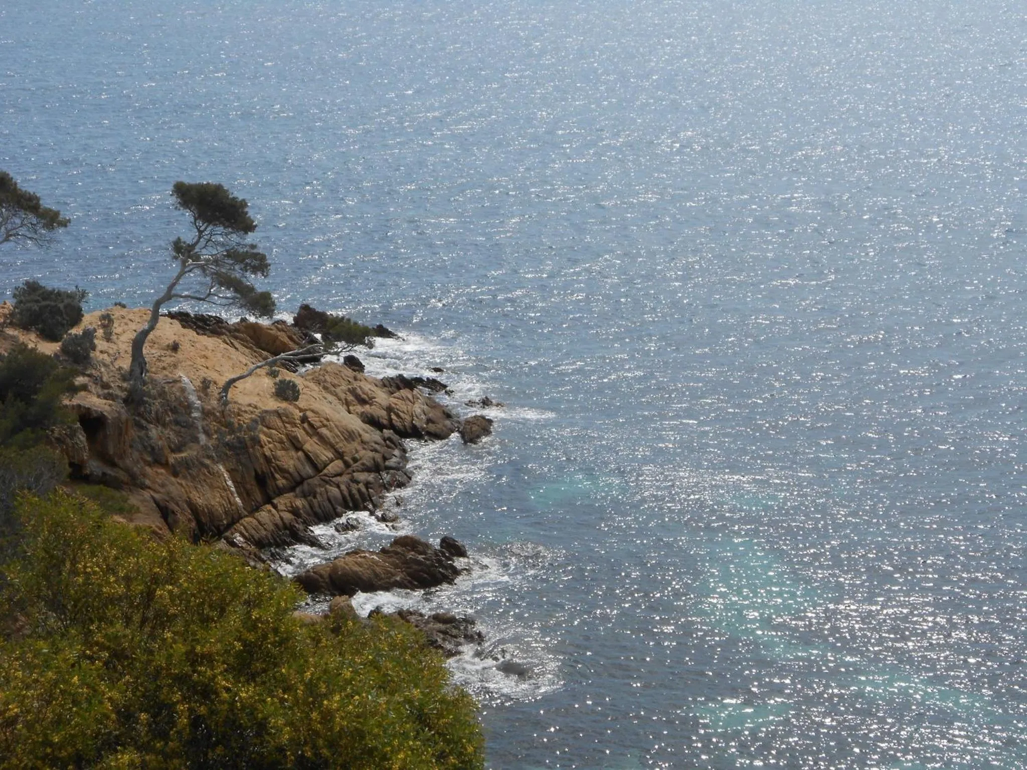 Area and facilities in SOWELL HÔTELS du Golfe de Saint-Tropez