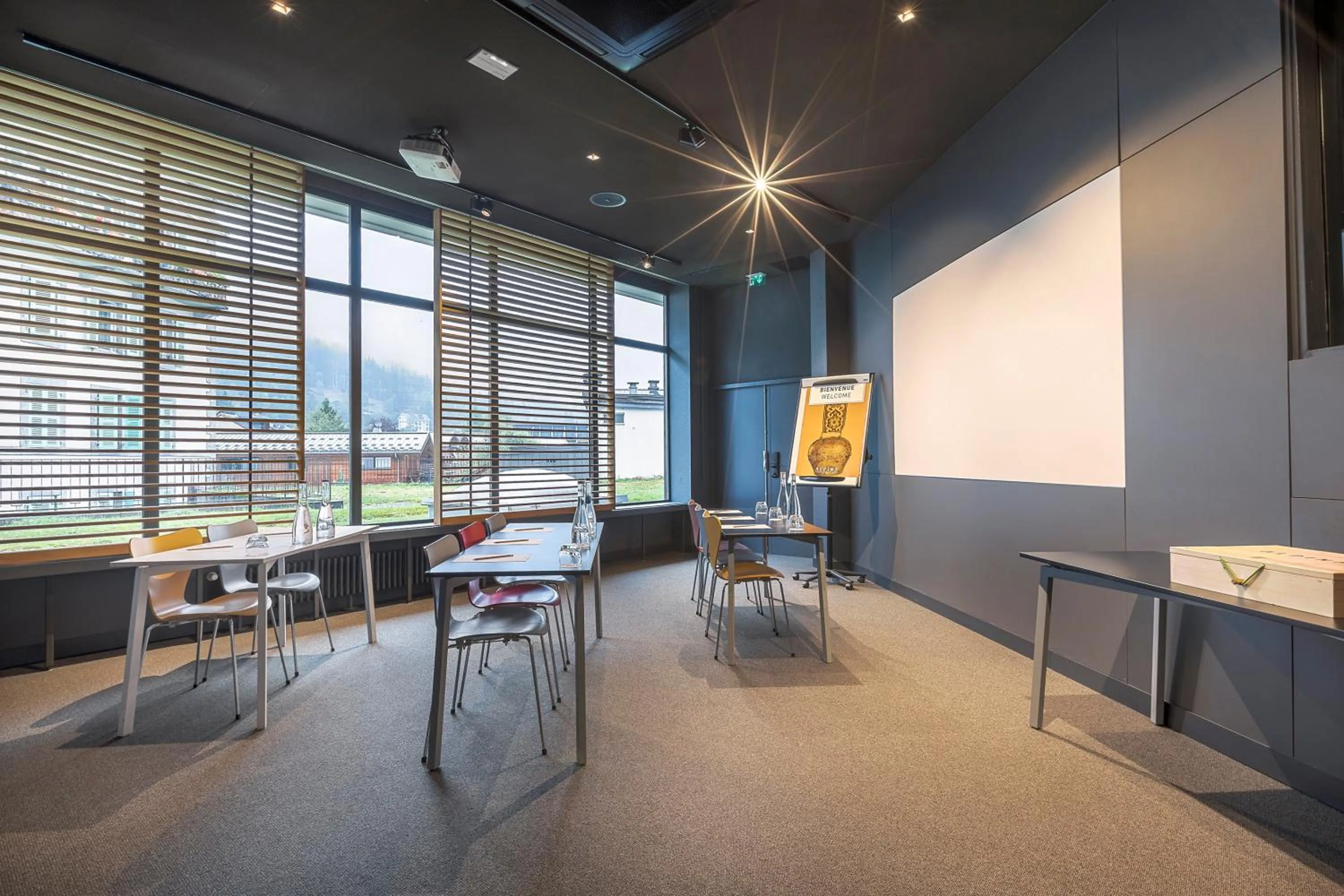 Business facilities in Alpina Eclectic Hotel