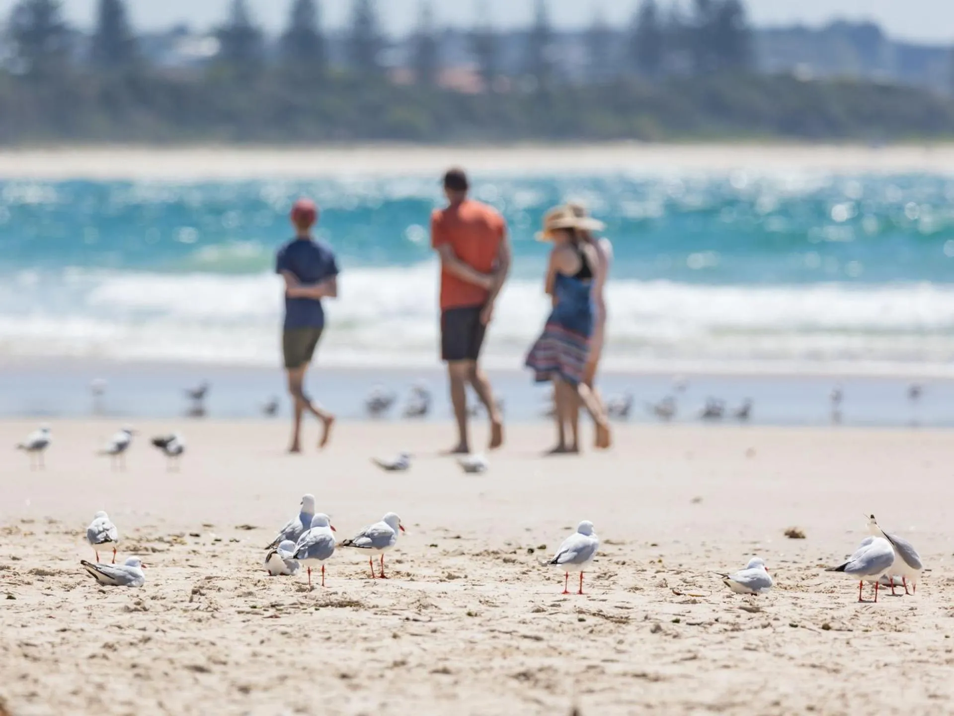 Beach House on Pearl - Kingscliff Central