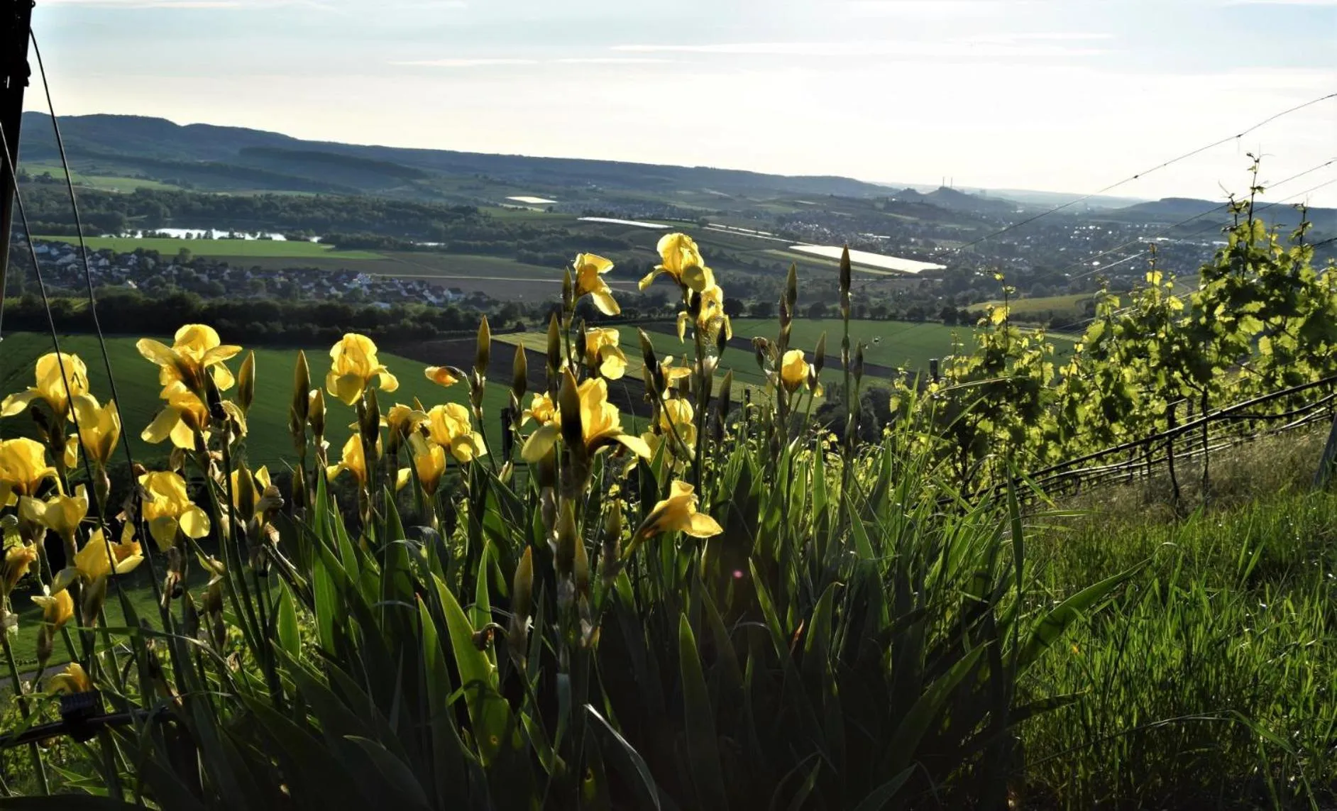 Spring in Sali Homes - GaesteHaus Lamm Obersulm