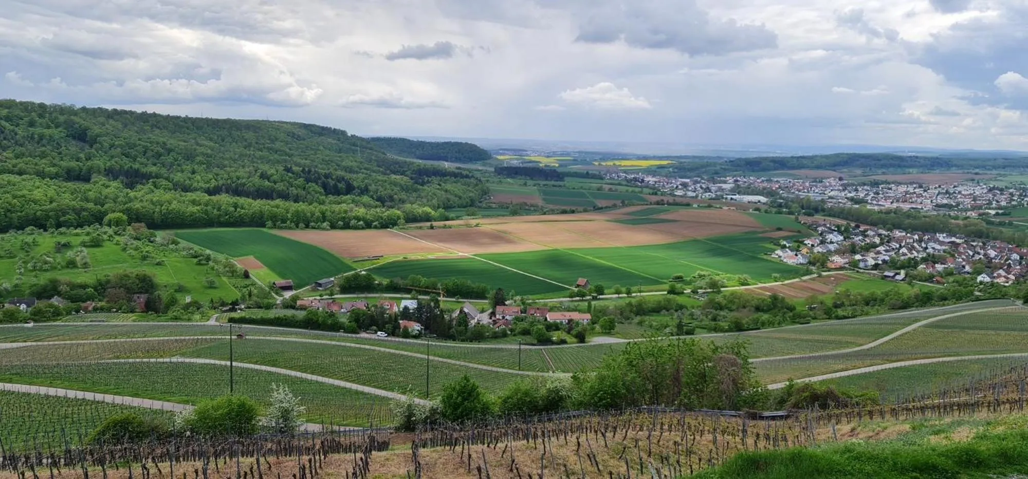 Natural landscape in Sali Homes - GaesteHaus Lamm Obersulm